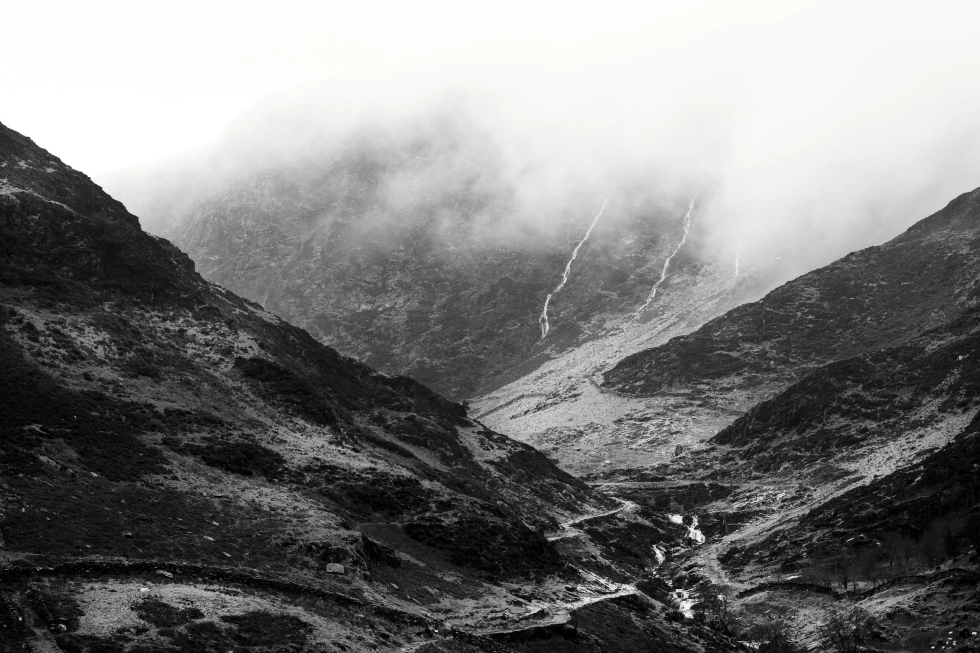Cwm Llan Valley, Spring 2024
