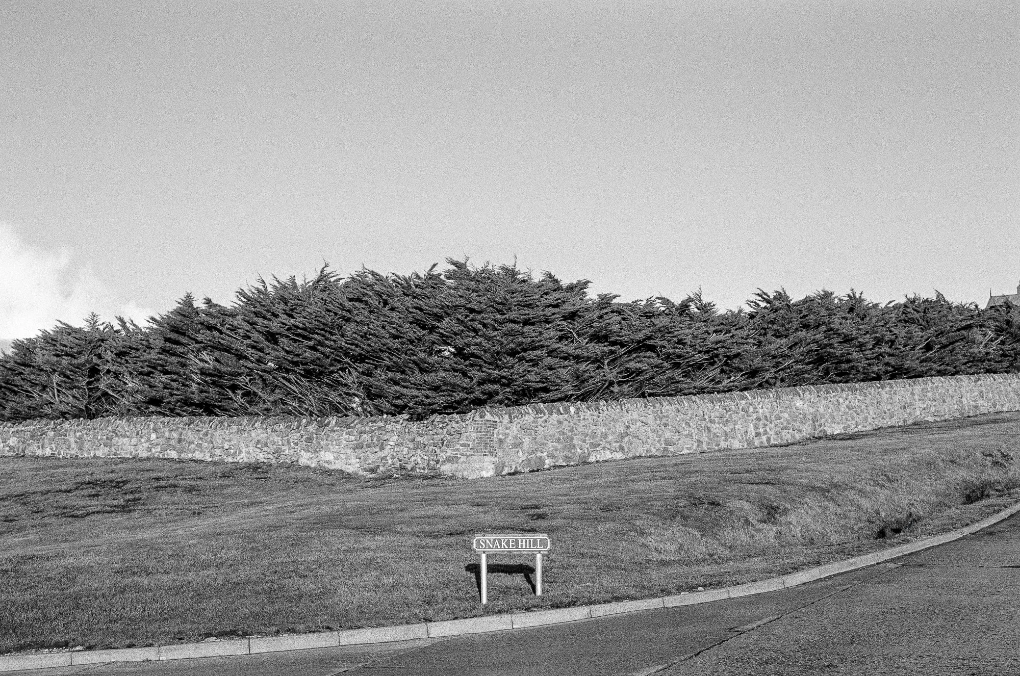 Black and white photo of a stone wall with dense trees behind it, a road in the foreground, and a small sign that reads 'SNAKE HILL' at the roadside.