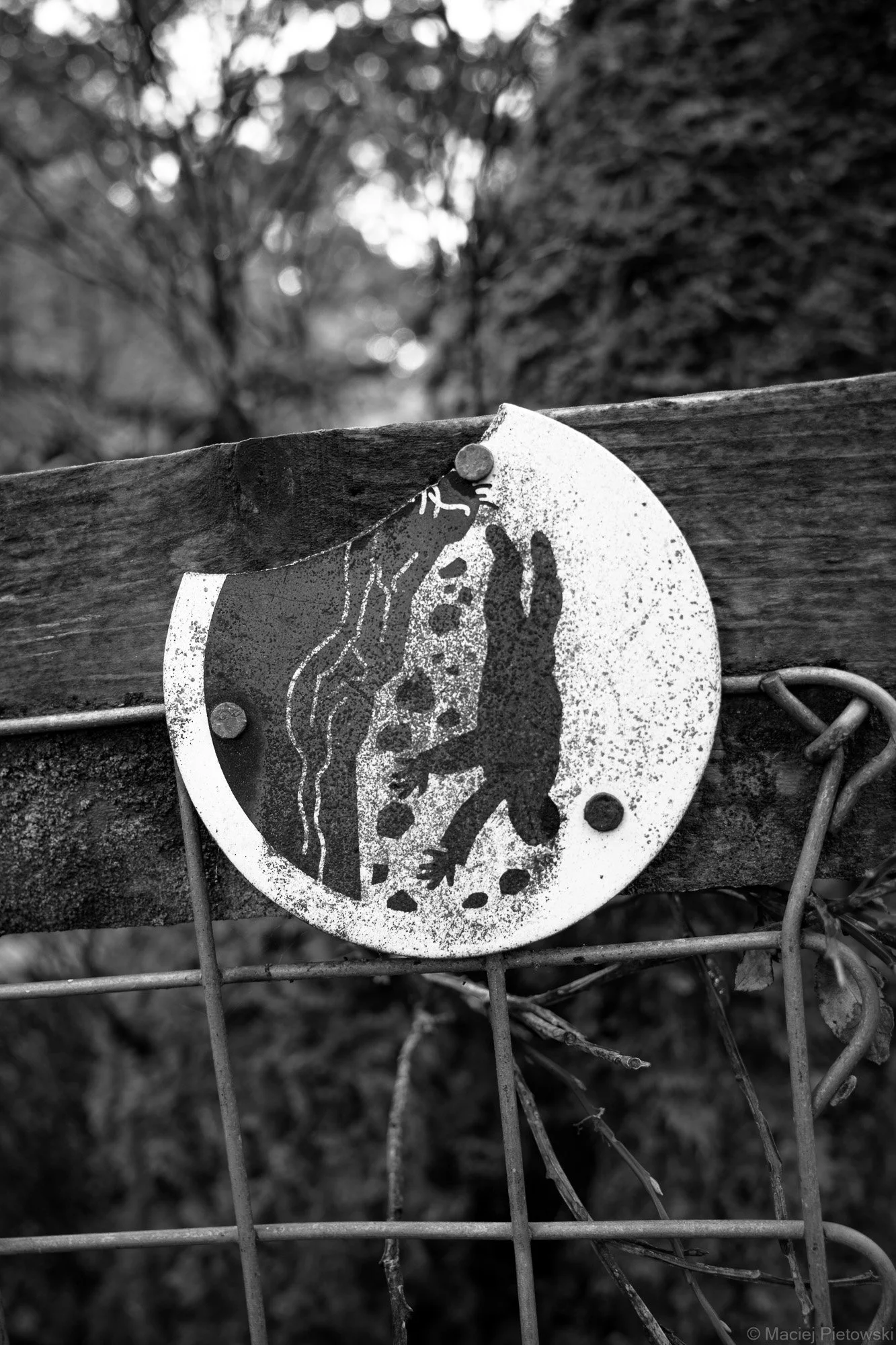 Near the Watkin Path, Autumn 2022