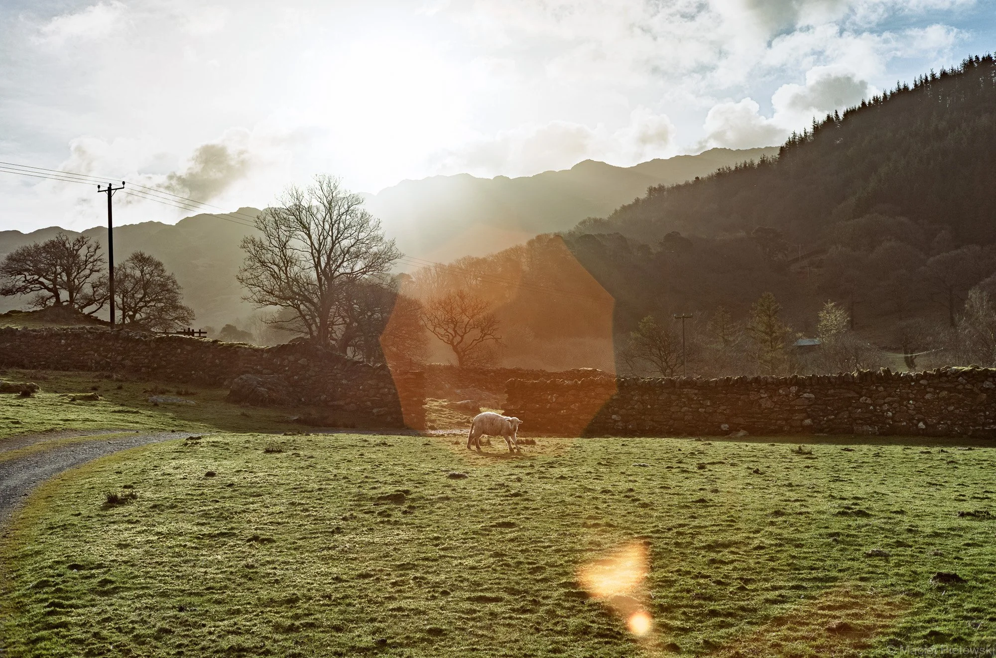 Hafod y Llan, Spring 2023