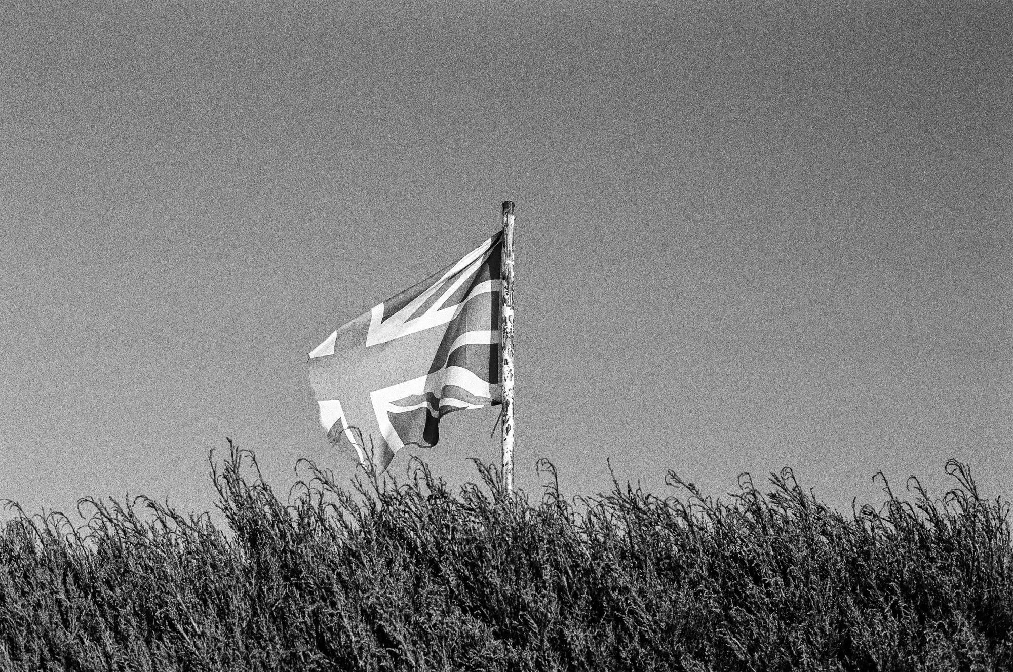 Black and white photo of a Union Jack flag on a pole, flying above tall grass or weeds, under a gray sky.