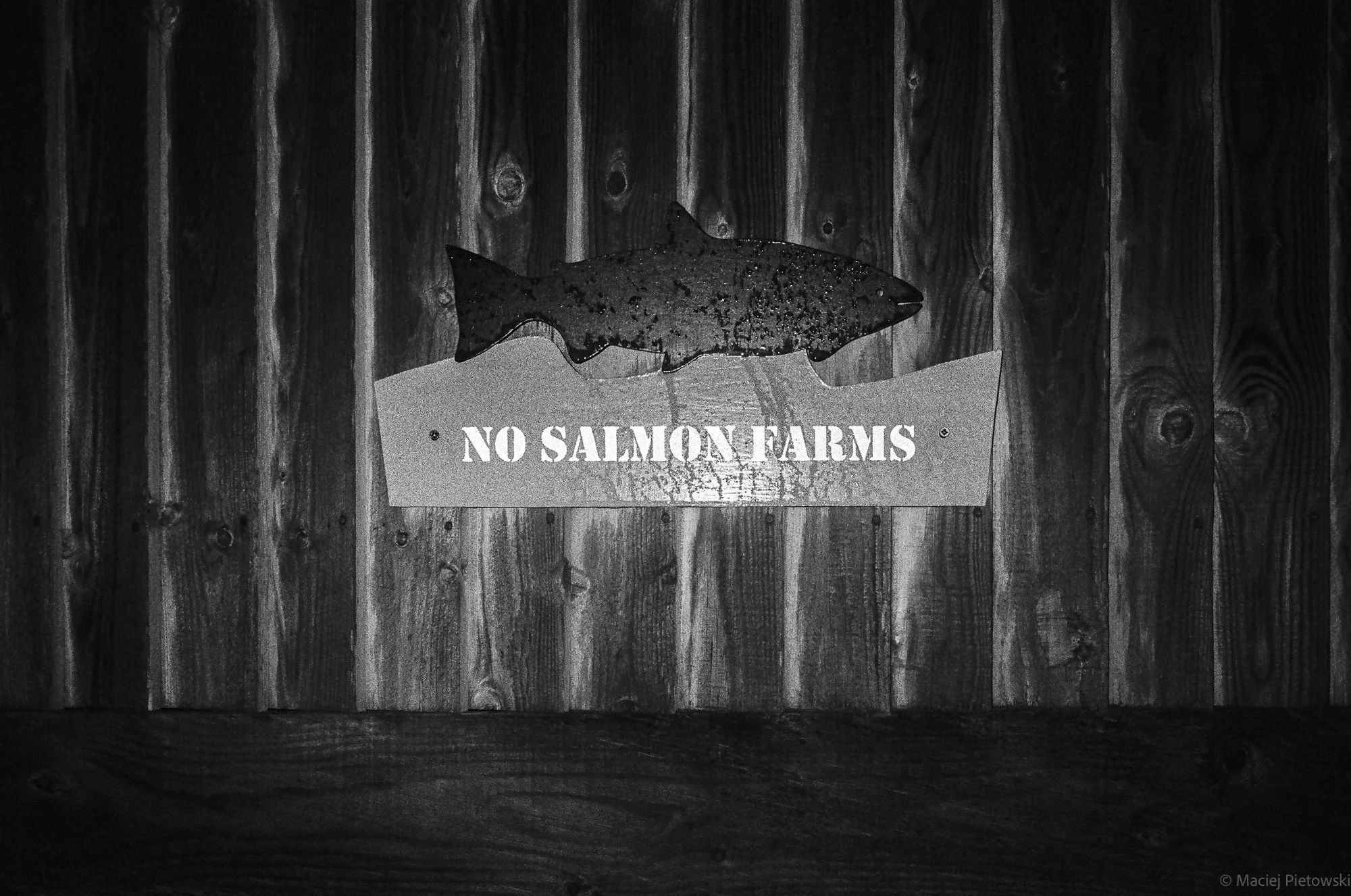 A sign with an illustration of a fish and the words 'NO SALMON FARMS' against a wood-paneled background.