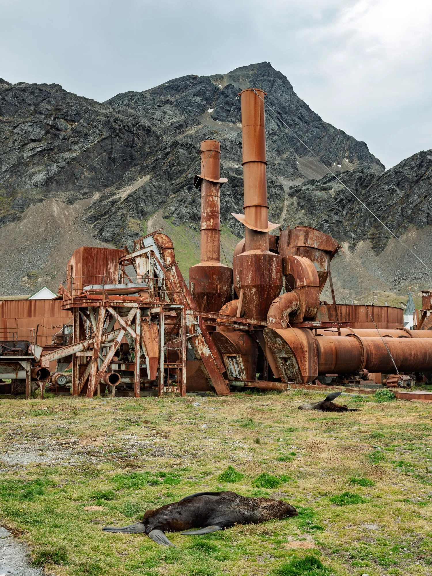 Rusty industrial structures with two dead horses lying on grass in front, mountains in the background under a cloudy sky.