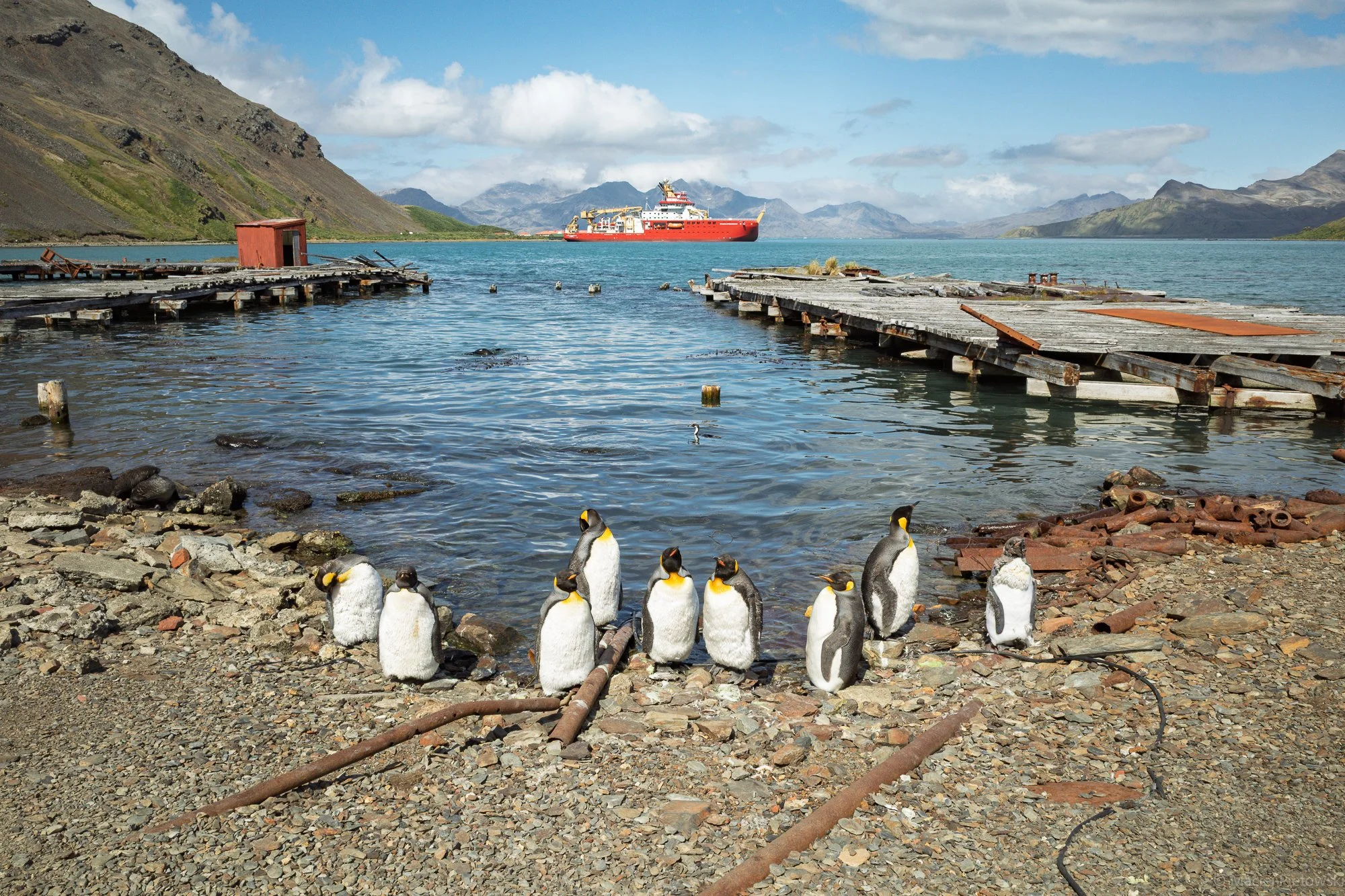 Penguins standing on rocky shore near water with a broken dock, mountains in the background, and a red ship in the distance.