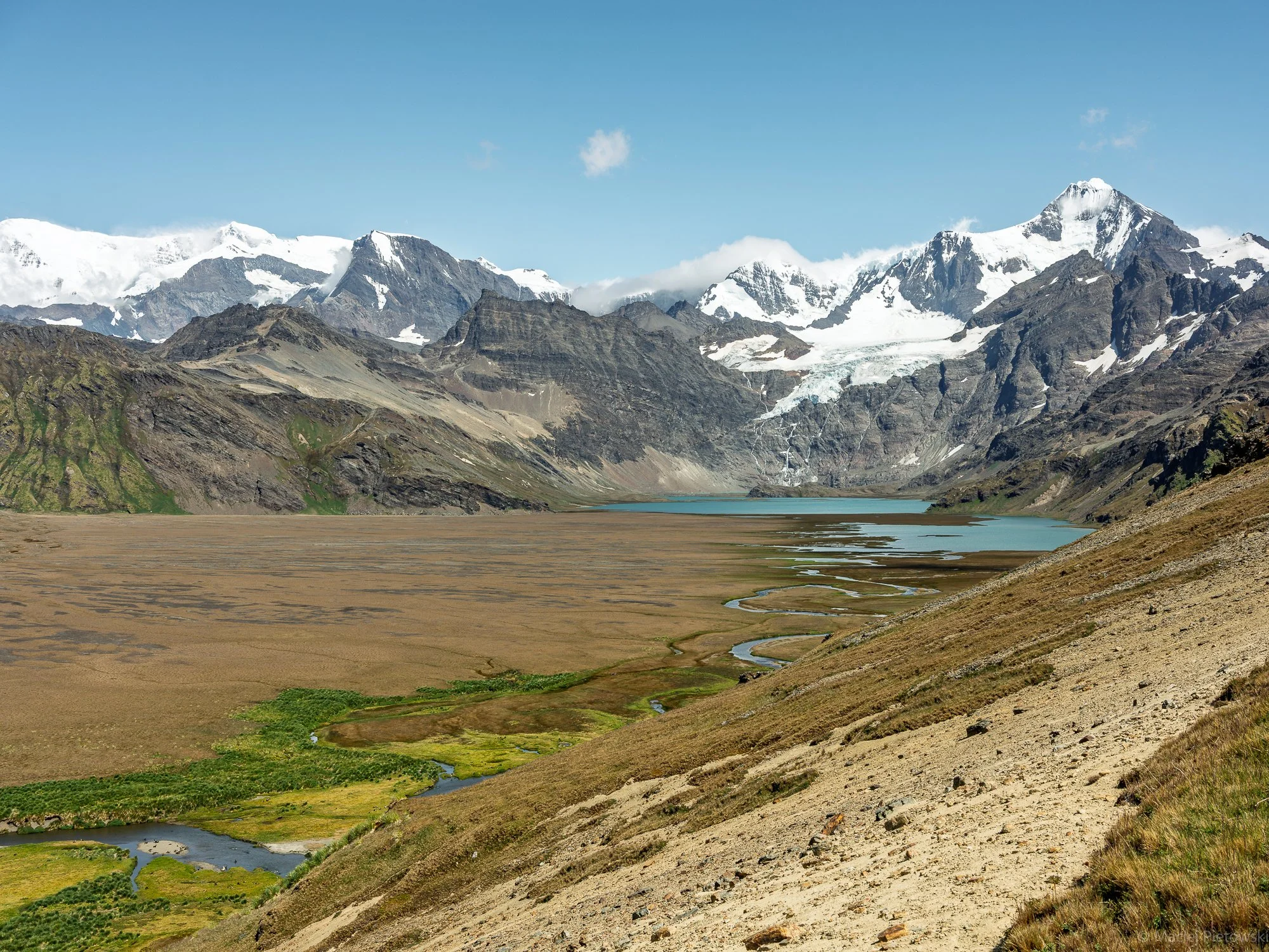 Snow-capped mountains, a glacier, and a river flowing through a valley with patches of green vegetation.