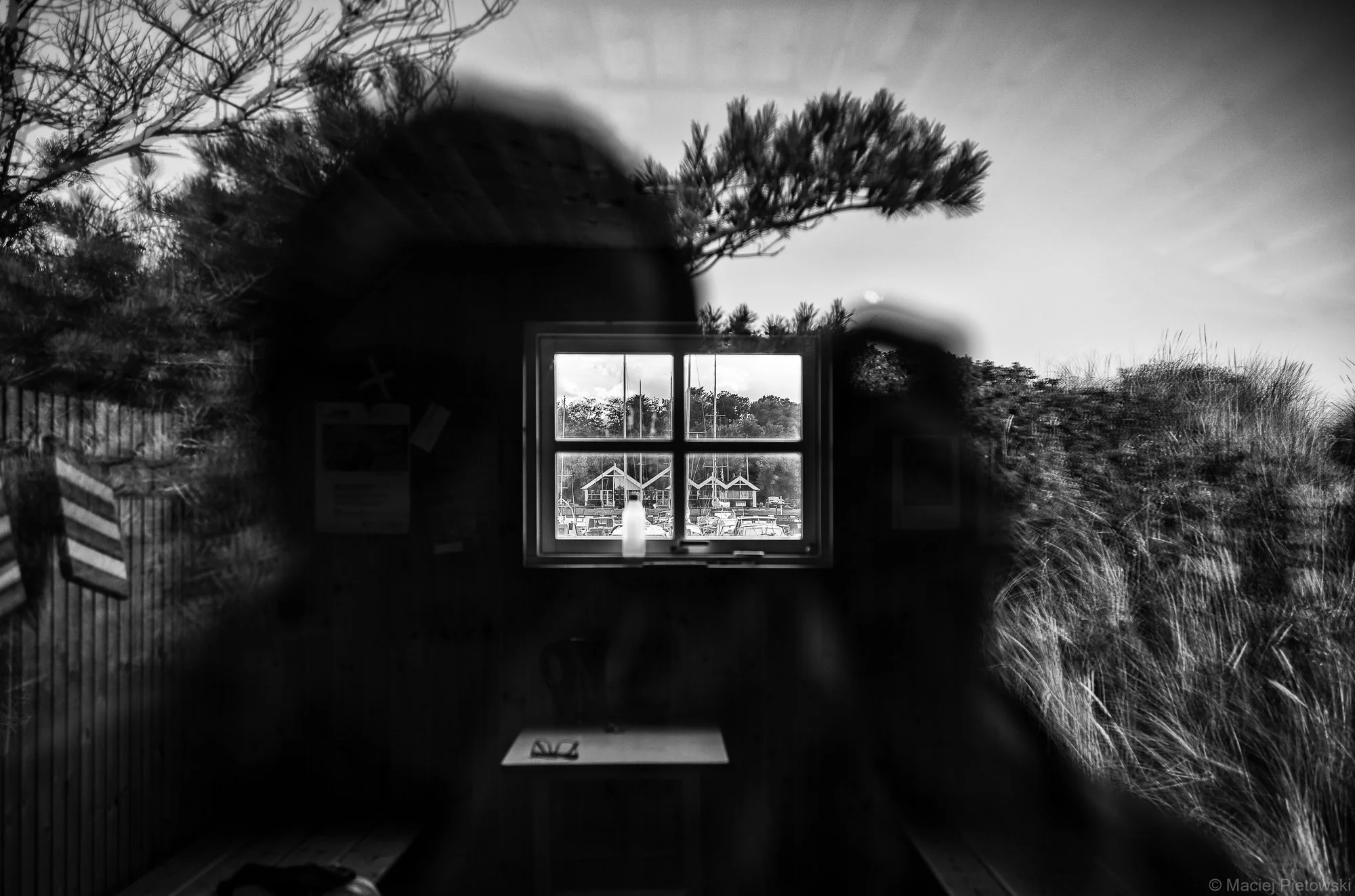 Black and white photo of a window with landscape view of trees and buildings outside, viewed from inside a room surrounded by foliage.