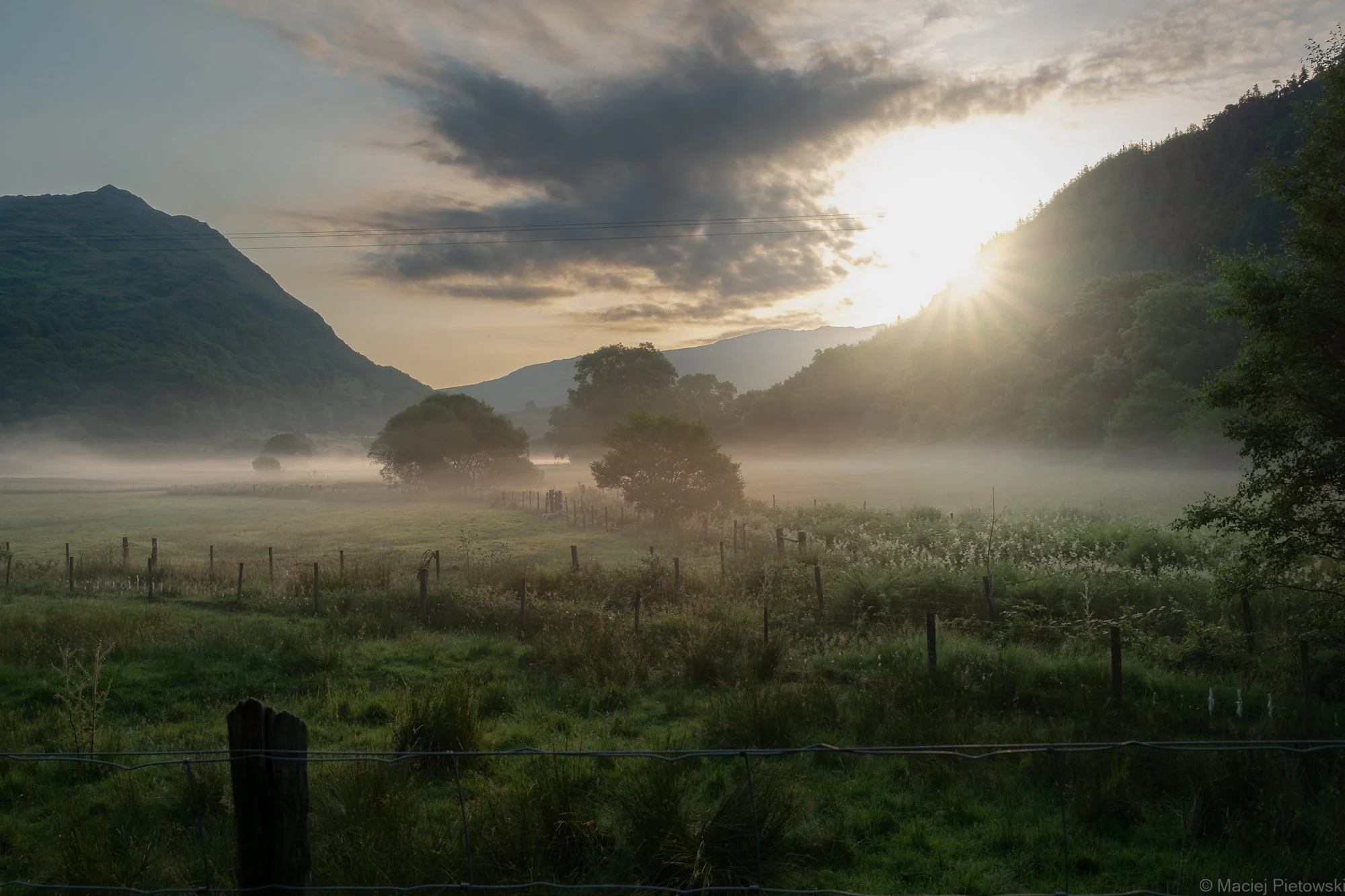 Sunrise over a misty field with trees, mountains in the background, and a cloudy sky.