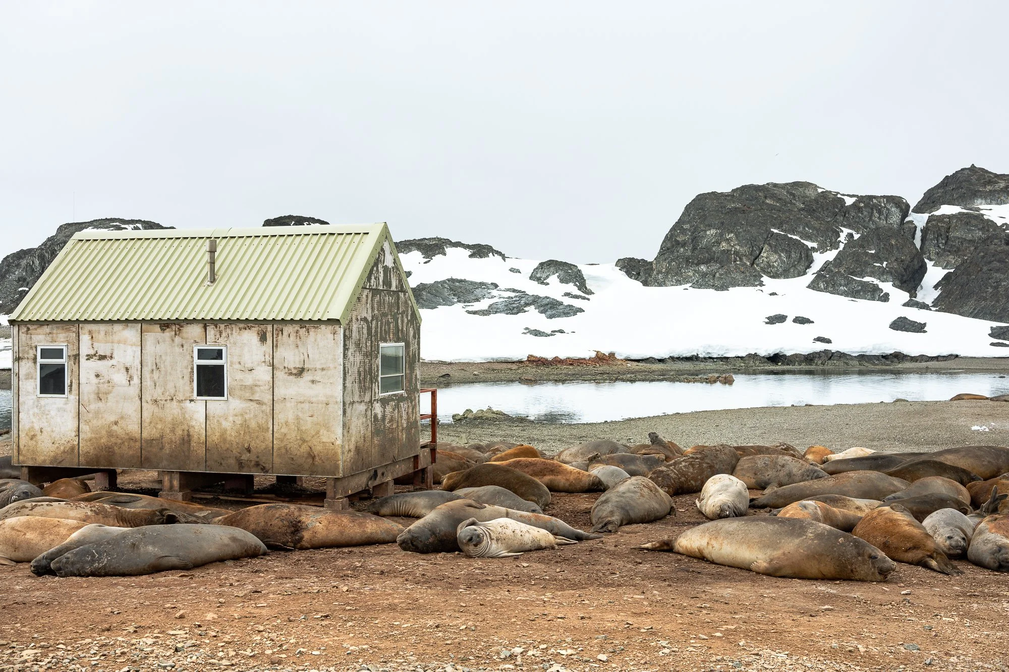Rothera, December 2024