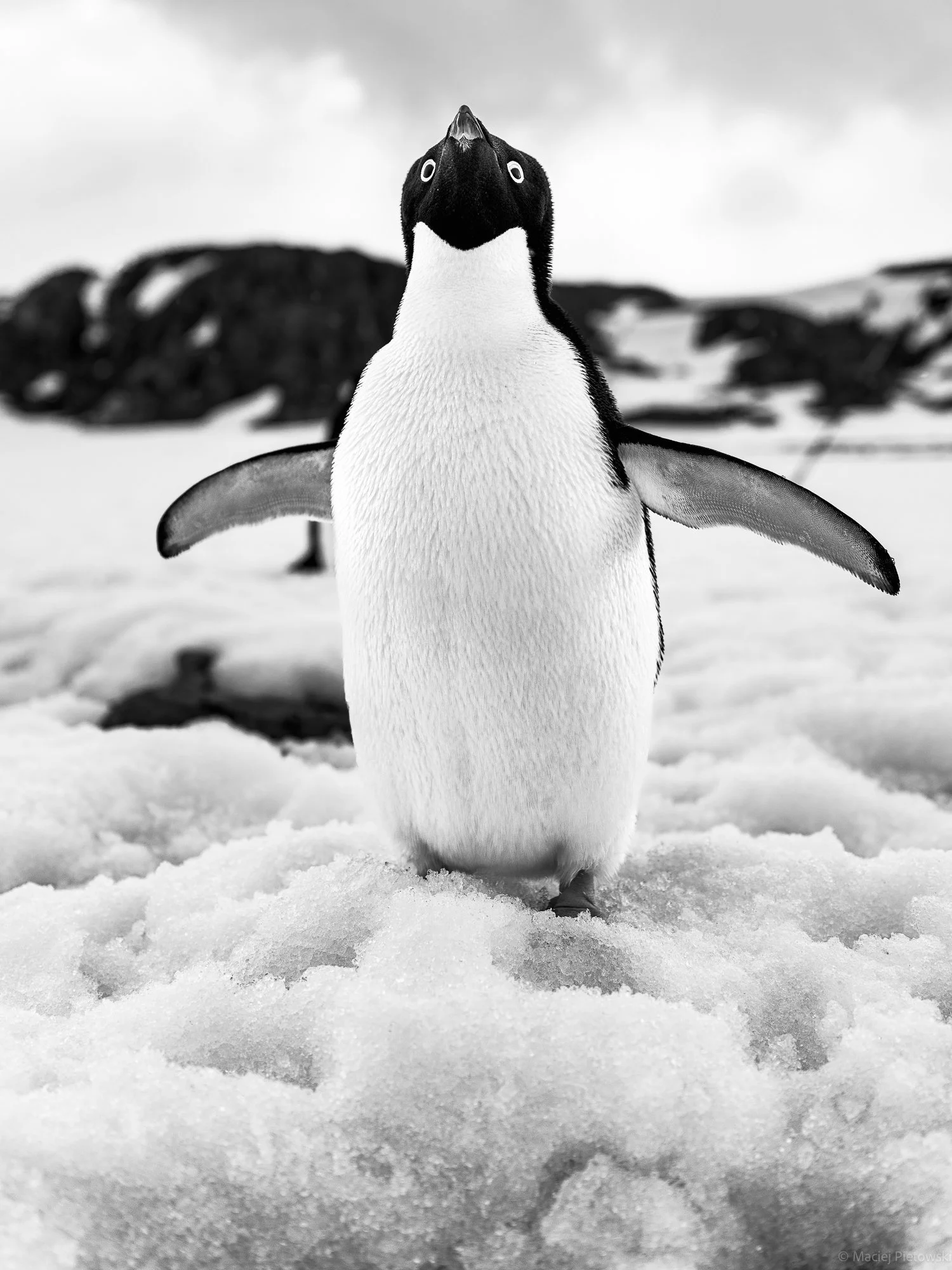 Rothera, December 2024