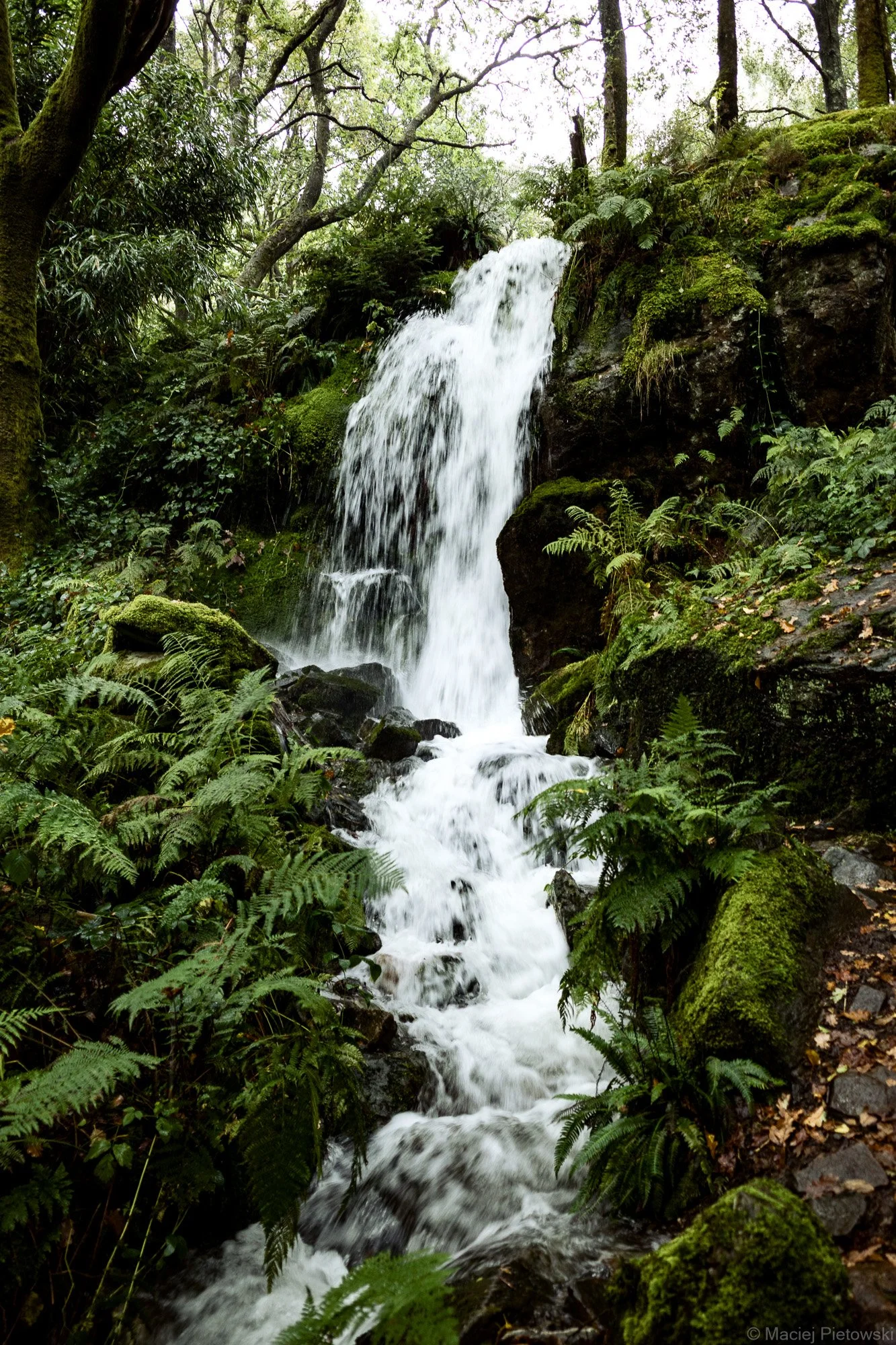 Near the Watkin Path, Autumn 2022