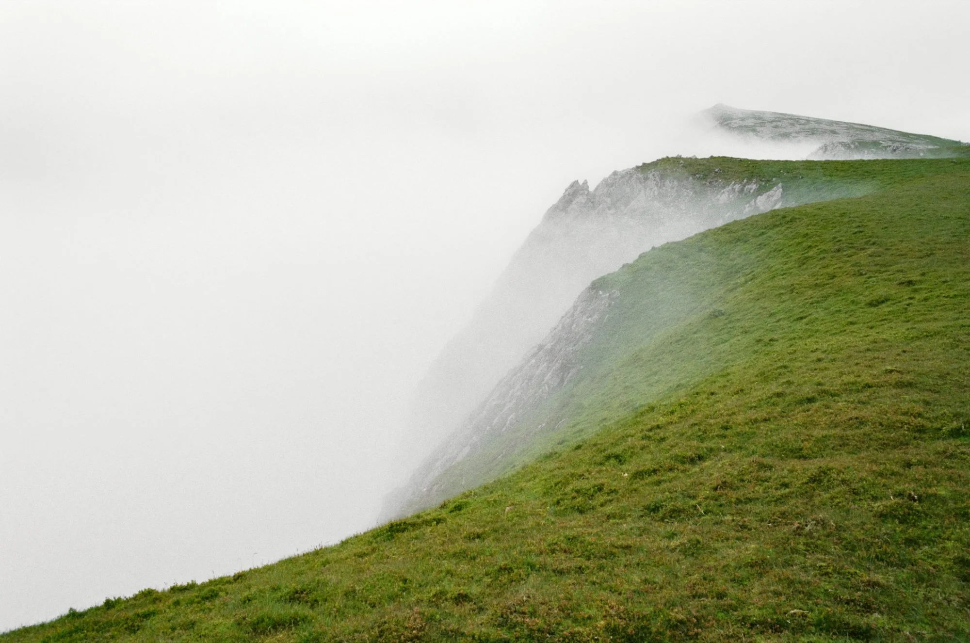 The Minffordd Path, Summer 2024