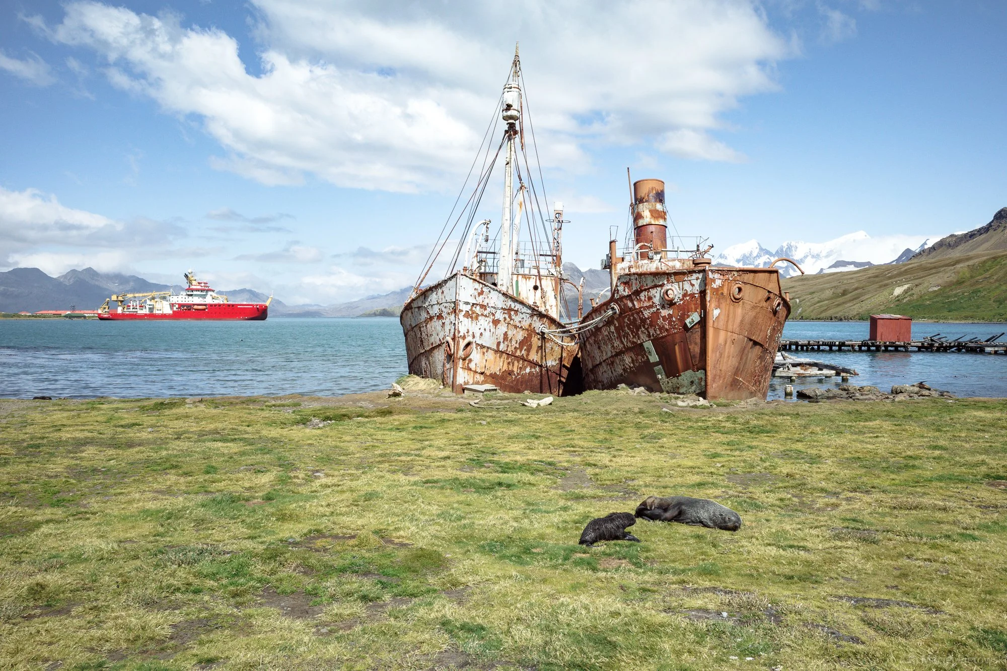 An old, rusty shipwreck of a large vessel on the grassy shore with snow-capped mountains and a clear blue sky in the background. A modern red ship is floating in the water nearby.