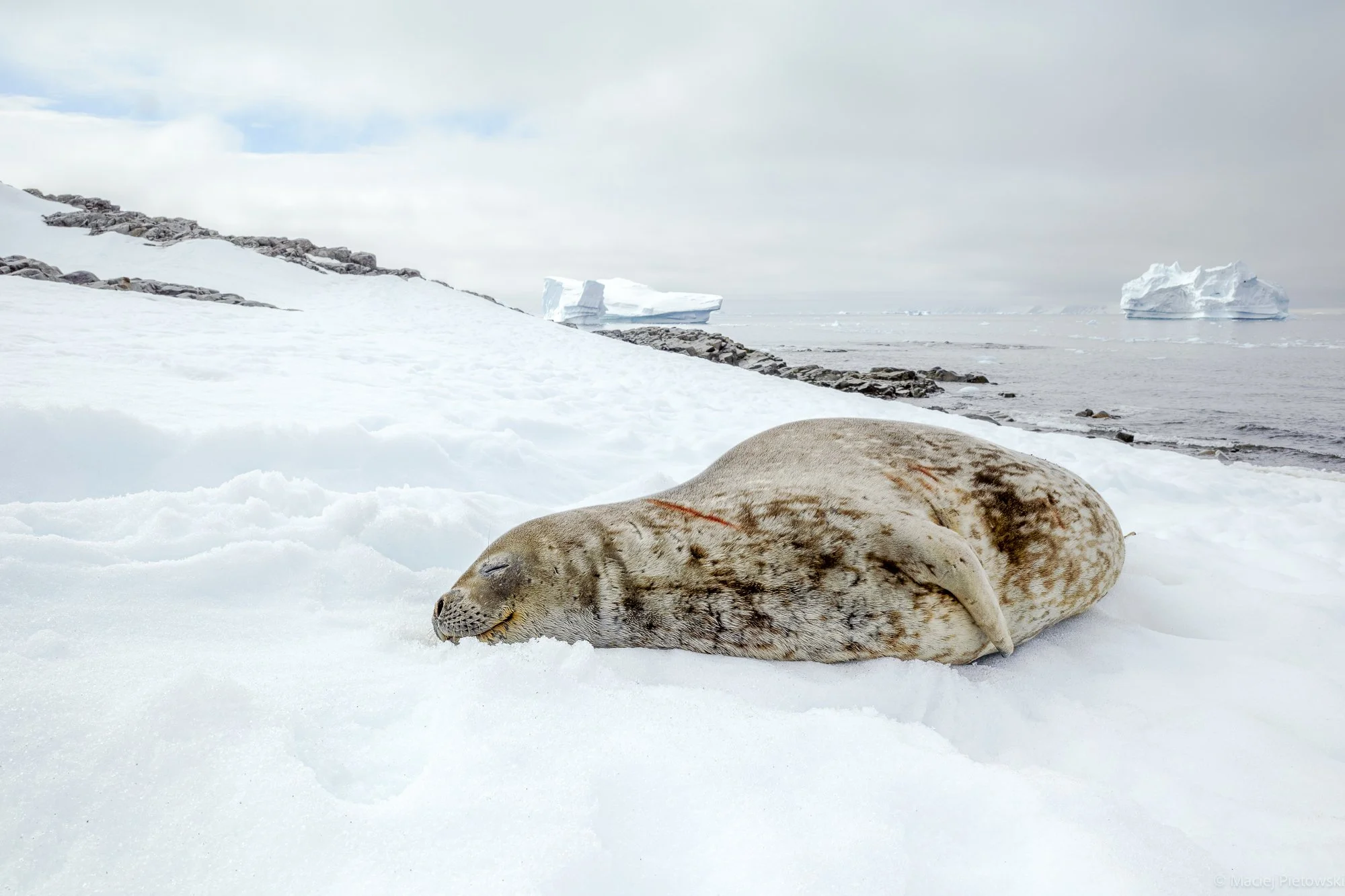 Rothera, December 2024