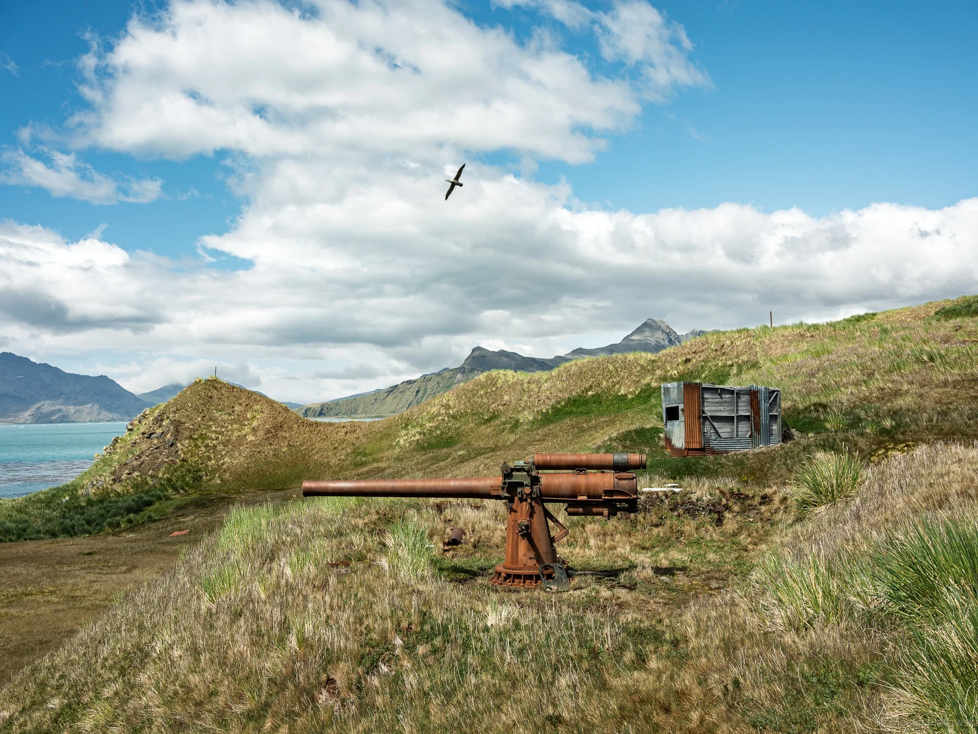 A landscape with green hills, mountains in the background, blue sky with clouds, and a bird flying. In the foreground, there are rusted, old artillery cannons and a damaged structure.