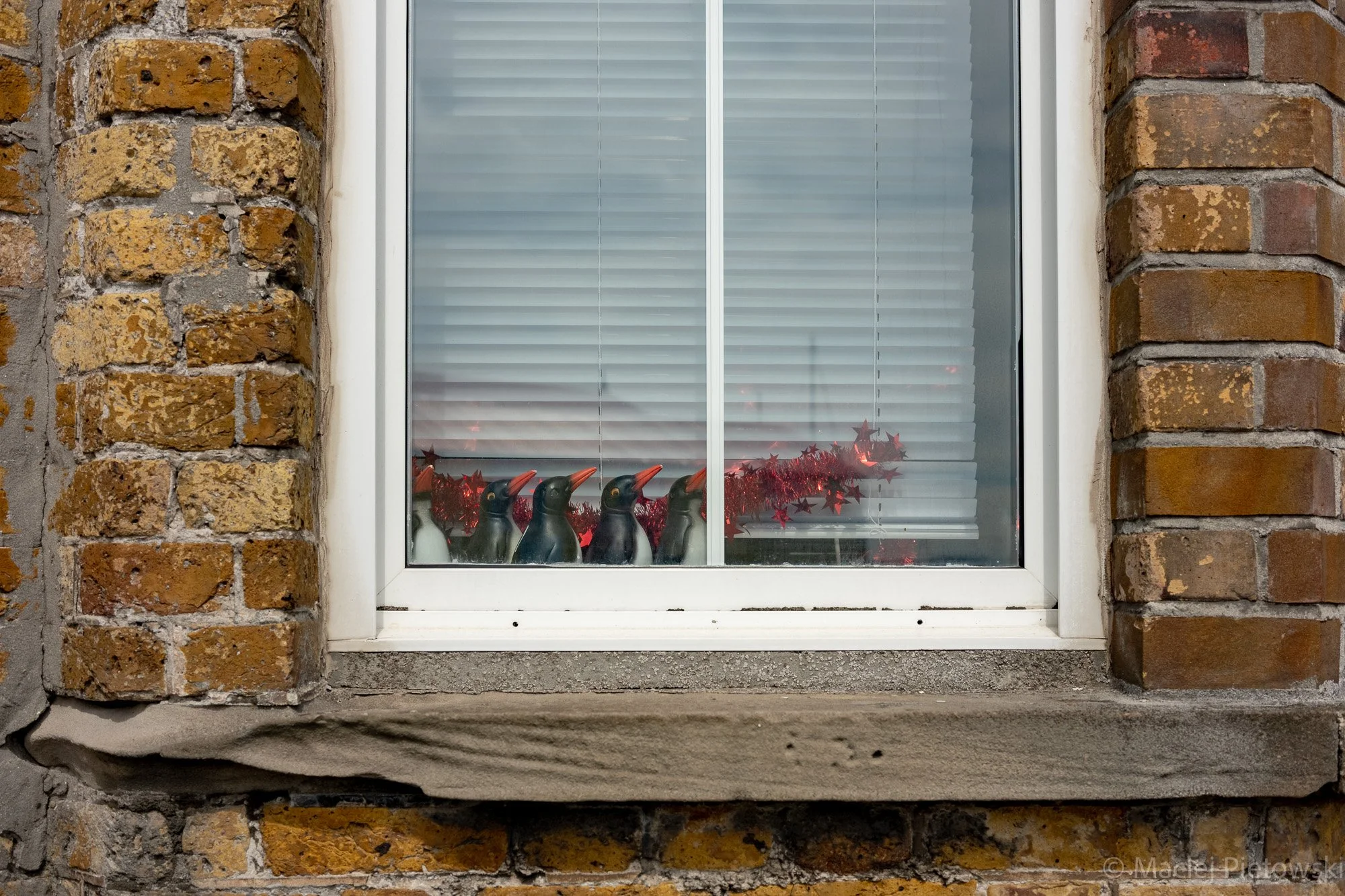 A window set in a brick wall with white trim. Inside the window, there are decorative penguin figurines and red star-shaped decorations behind the blinds.