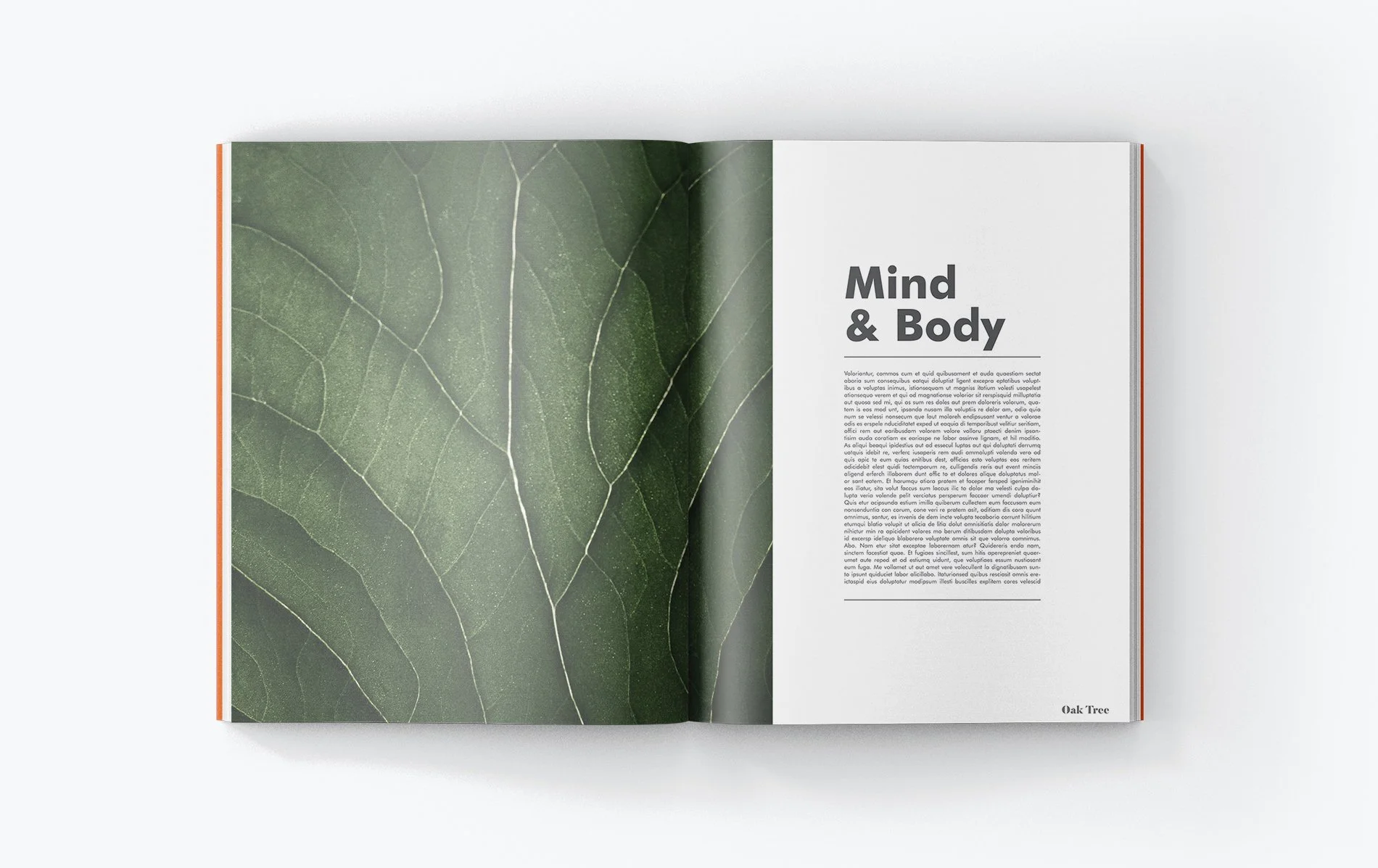magazine_insides_pages_m2ockup_by_viscondesign.jpg