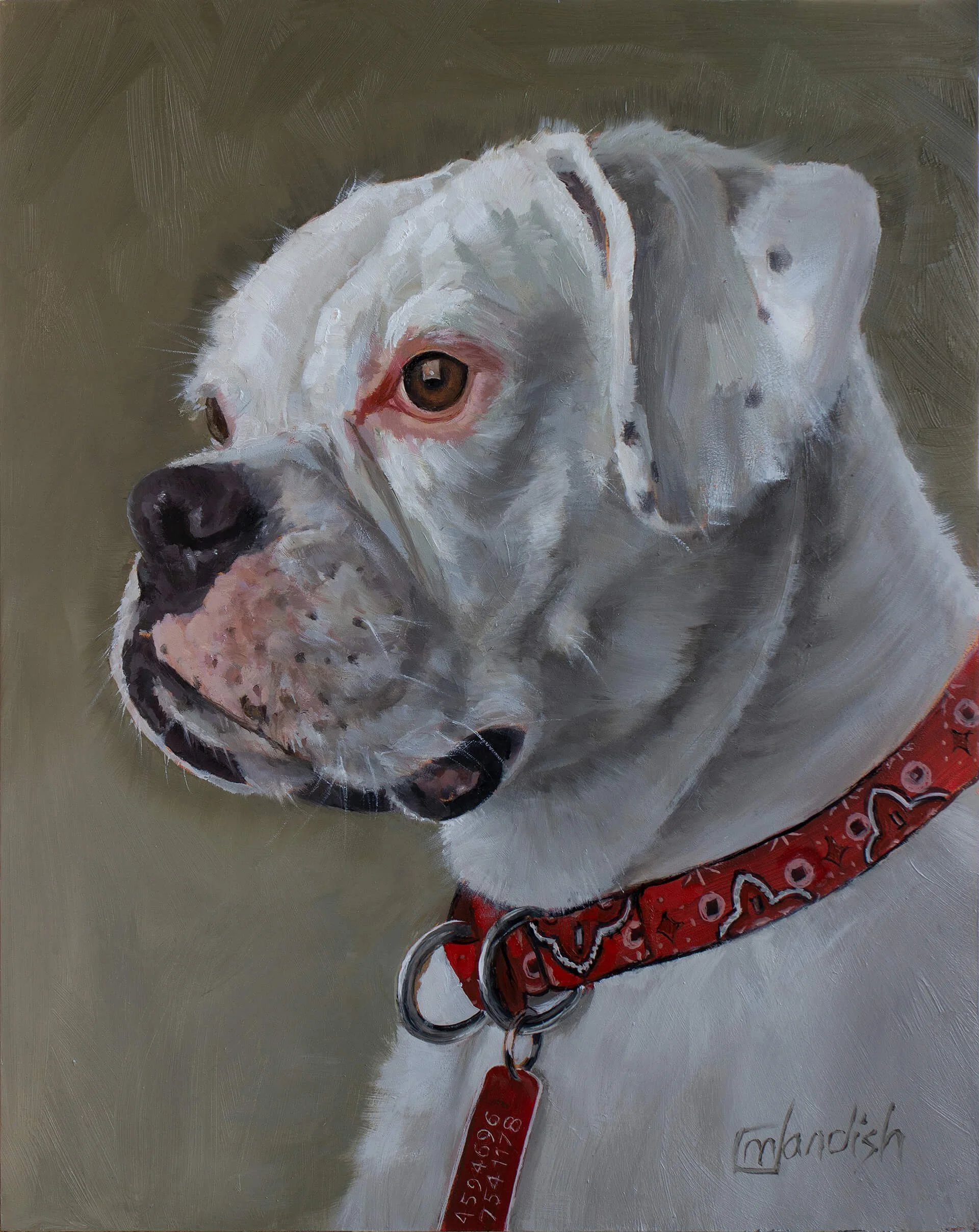 Painting of a white boxer dog with dark spots, wearing a red bandana, and a red dog collar with a tag.