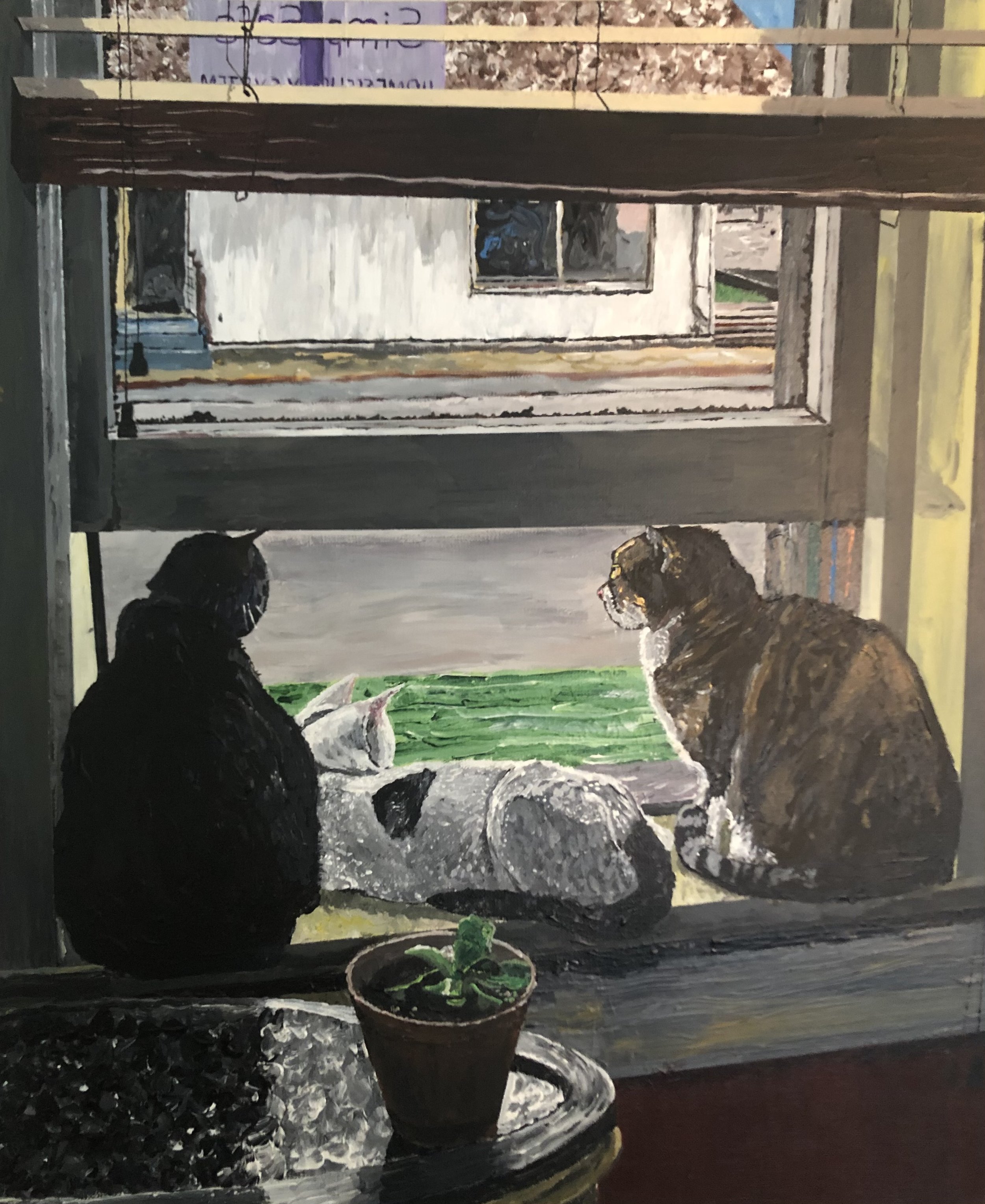 Cats, 2023
