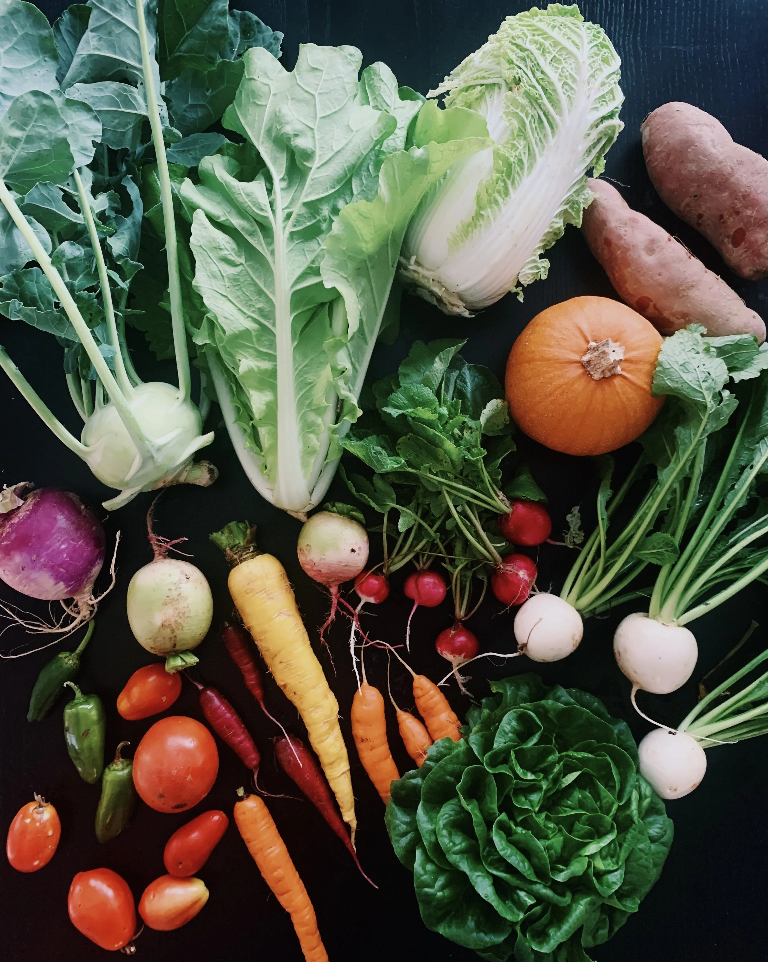 A variety of fresh vegetables including kale, bok choy, napa cabbage, sweet potatoes, radishes, carrots, cherry tomatoes, white radishes, and red chili peppers arranged on a black surface.