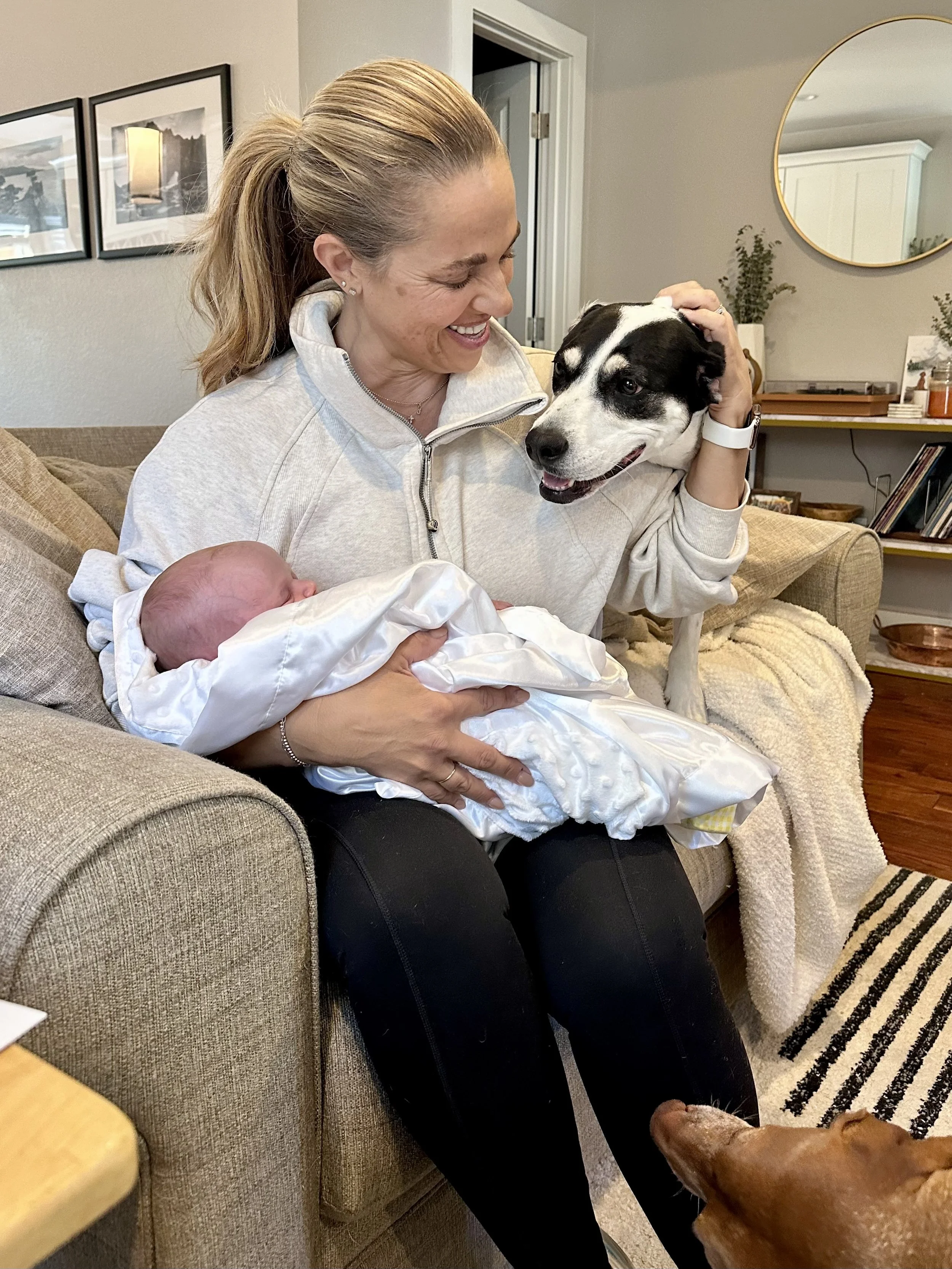 A woman holding a newborn baby wrapped in a white blanket and petting a black and white dog on the head while sitting on a beige couch in a living room.