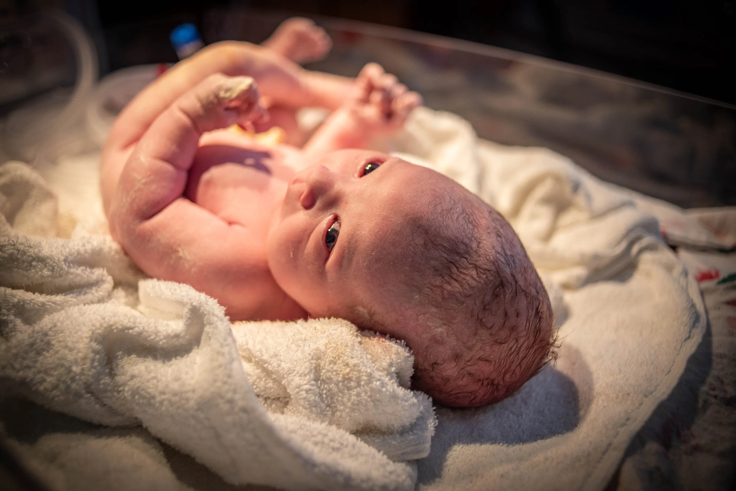 Close-up of a newborn baby lying on a soft blanket inside an incubator.