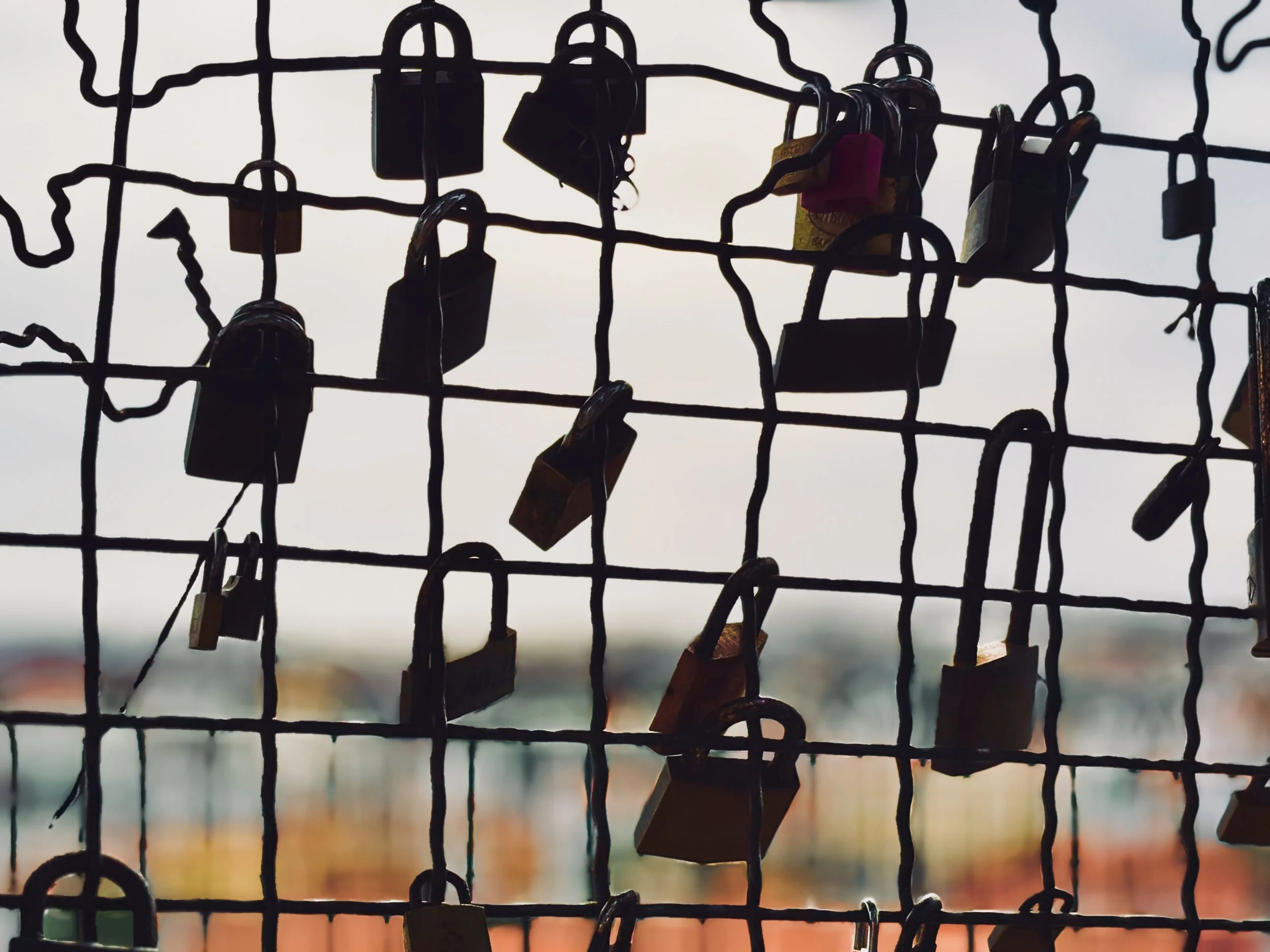 A close-up view of a wire fence with multiple padlocks attached, symbolizing security or love.