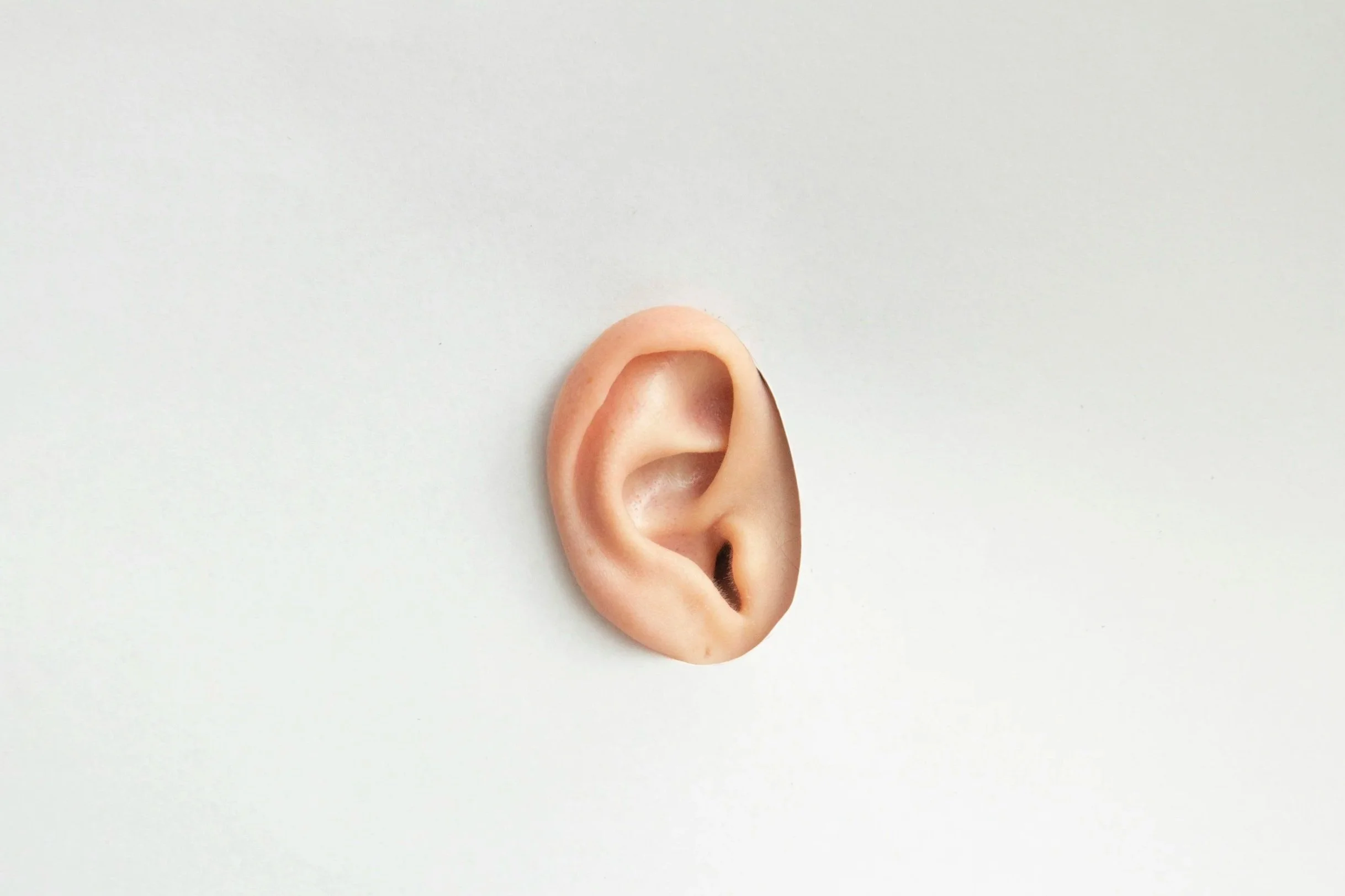 Tendre l'oreille... 