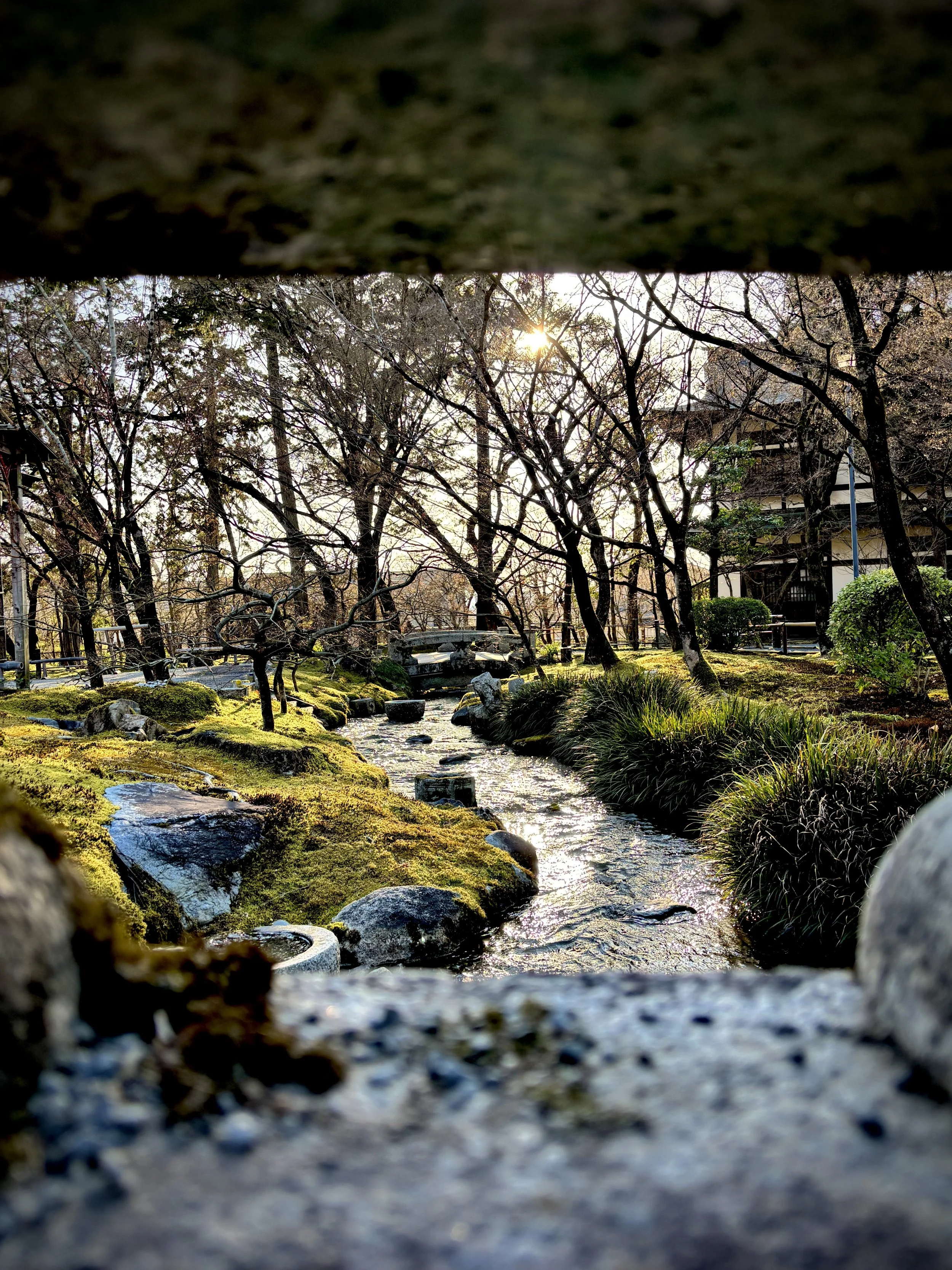 View of a park with a small stream running through moss-covered rocks, surrounded by trees with some with bare branches, and a wooden structure in the background with sunlight filtering through the branches.