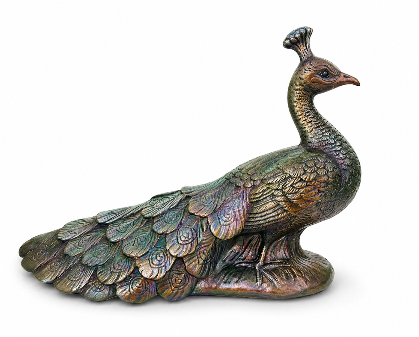 Iridescent Peacock