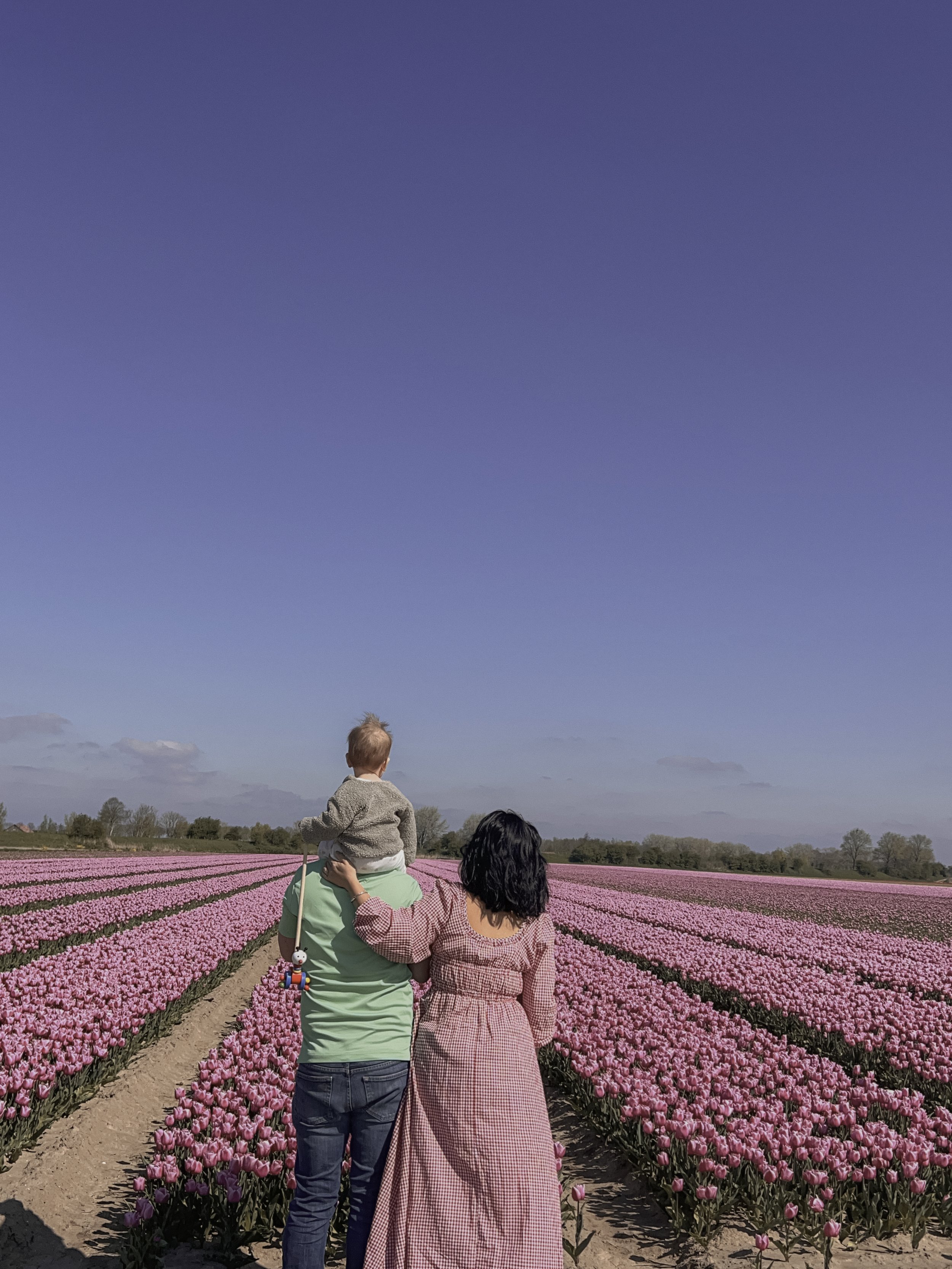 The Toddler-Tested Tulip Guide