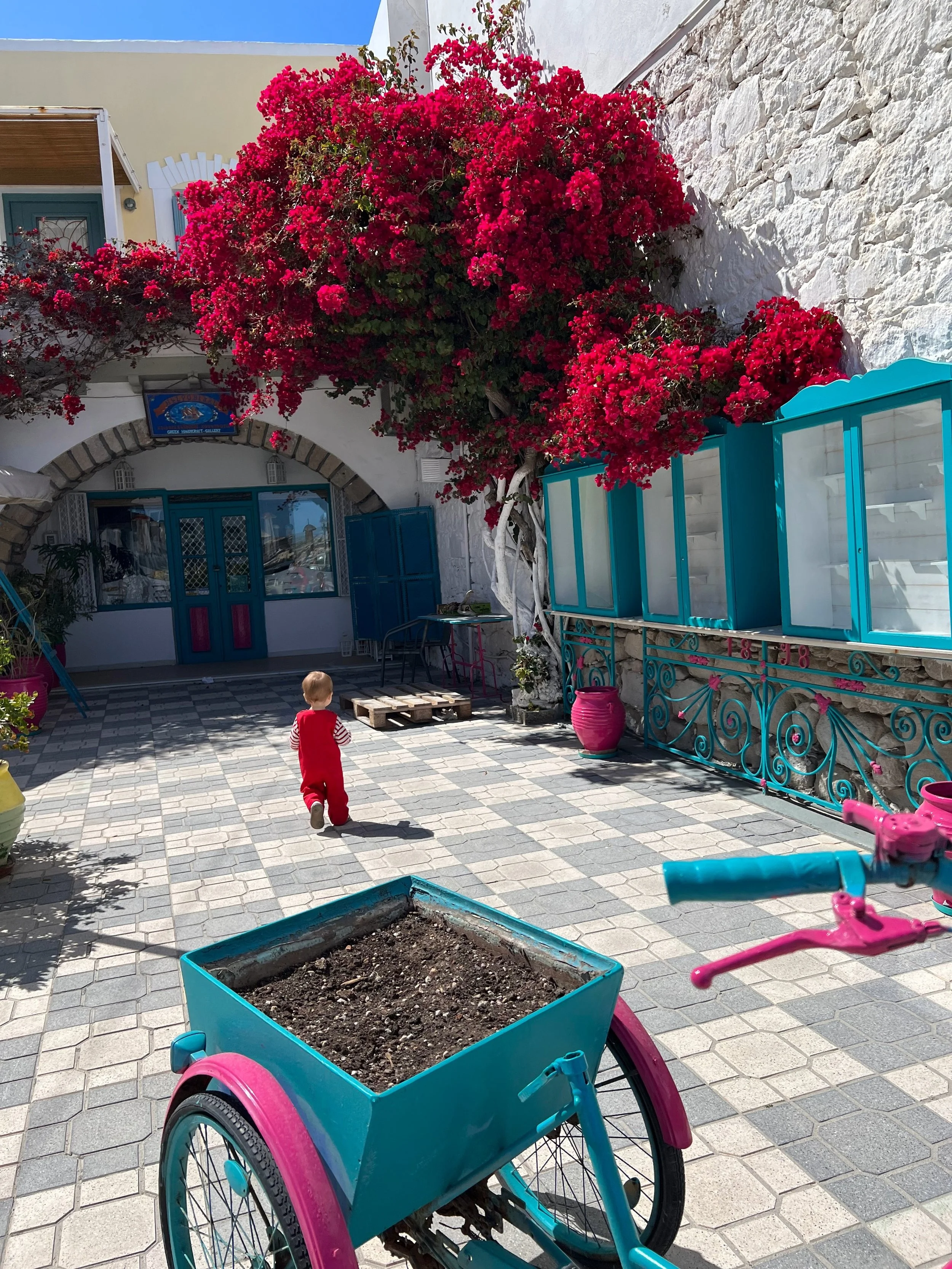A courtyard with colorful pink bougainvillea plants growing on a white wall, a blue and pink children's tricycle with a planter box in the foreground, and a small boy in red clothing walking away from the camera. There are planters, tables, and a building with blue shutters and an arched entrance in the background.