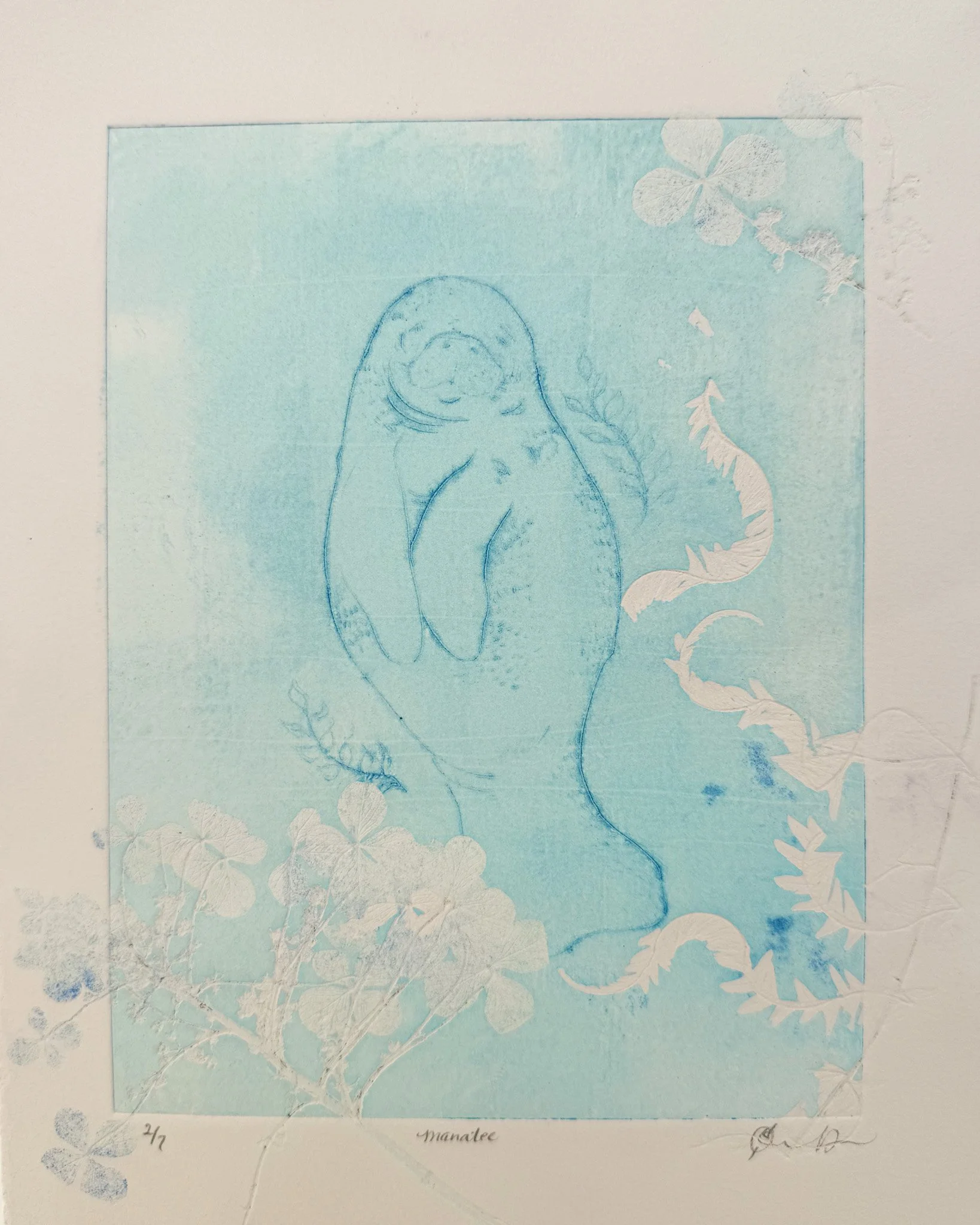 "Manatee" drypoint / monoprint 8x10" 2025 v.3