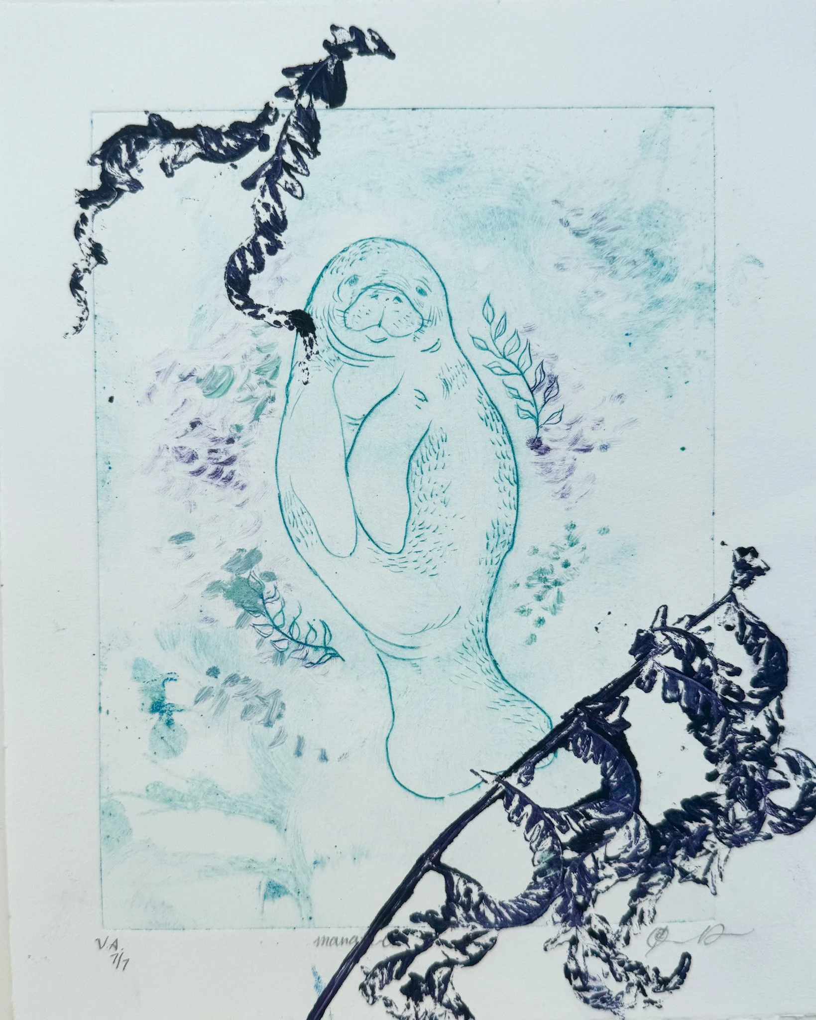 "Manatee" drypoint / monoprint 8x10" 2025 v.4