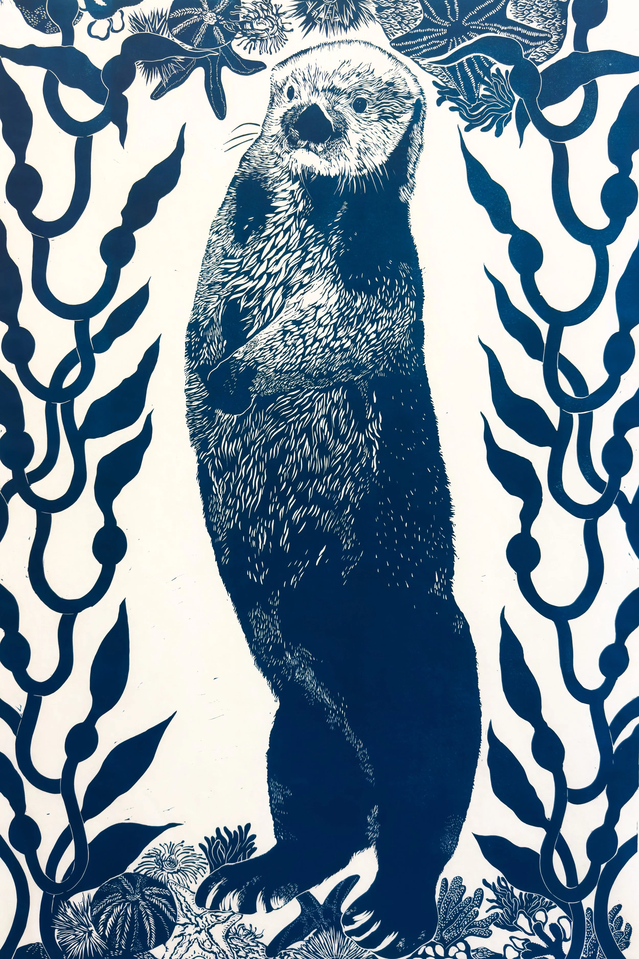 “Sea Otter” 24x36” linocut on Mulberry paper, 2026