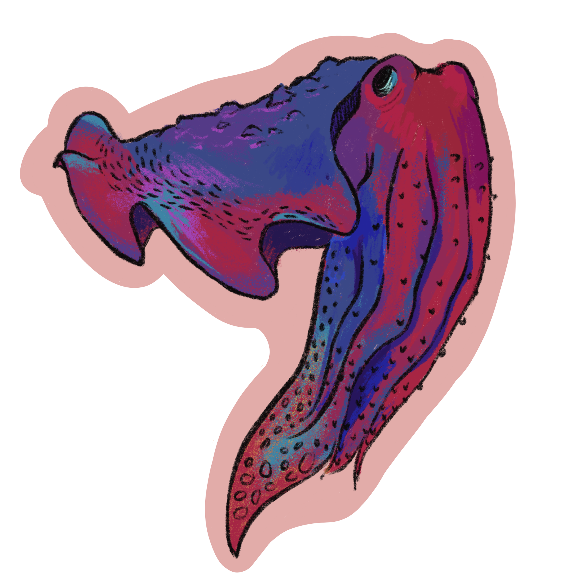 Cuttlefish Sticker - 3 inch