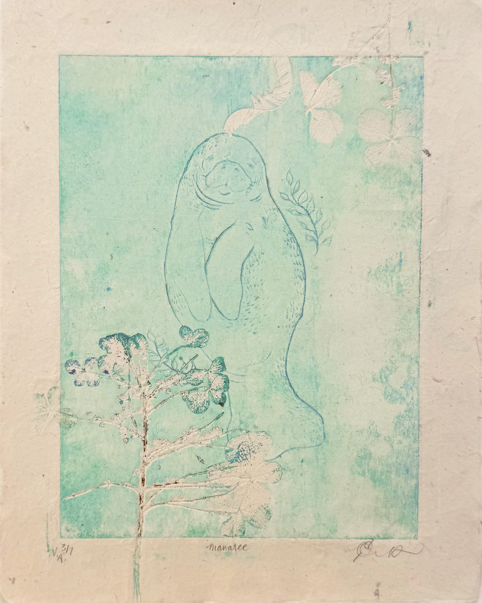 "Manatee" drypoint / monoprint 8x10" 2025 v.5