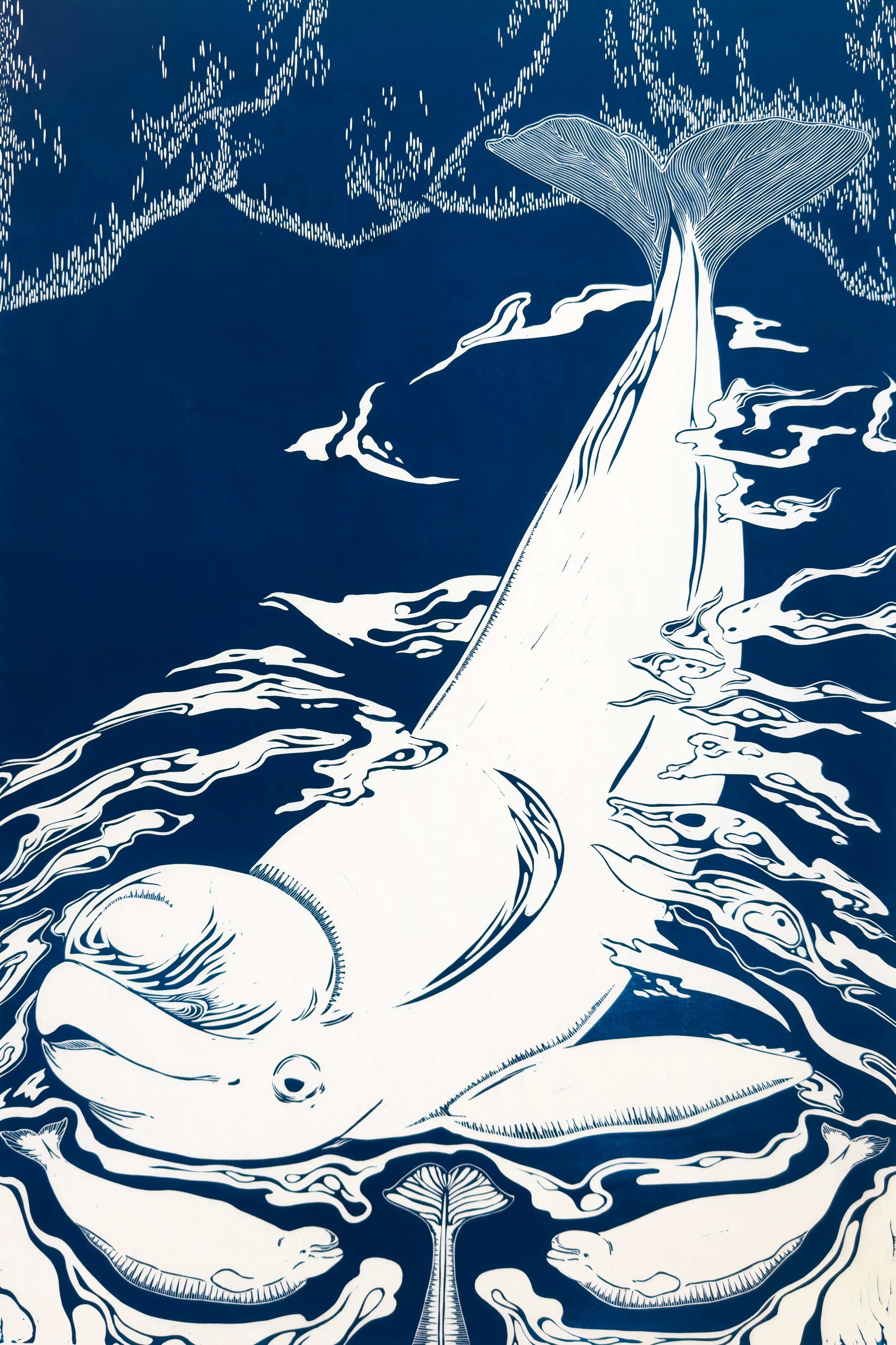 “Beluga” 24x36” linocut on Mulberry paper, 2026