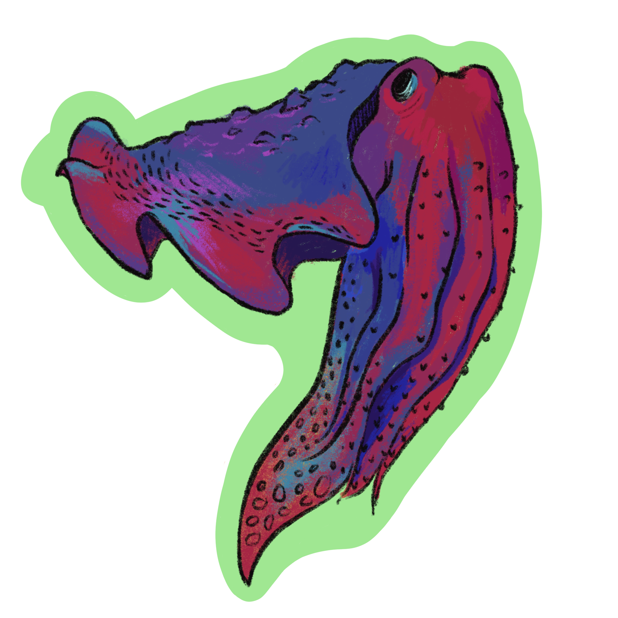 Cuttlefish.glitter.png