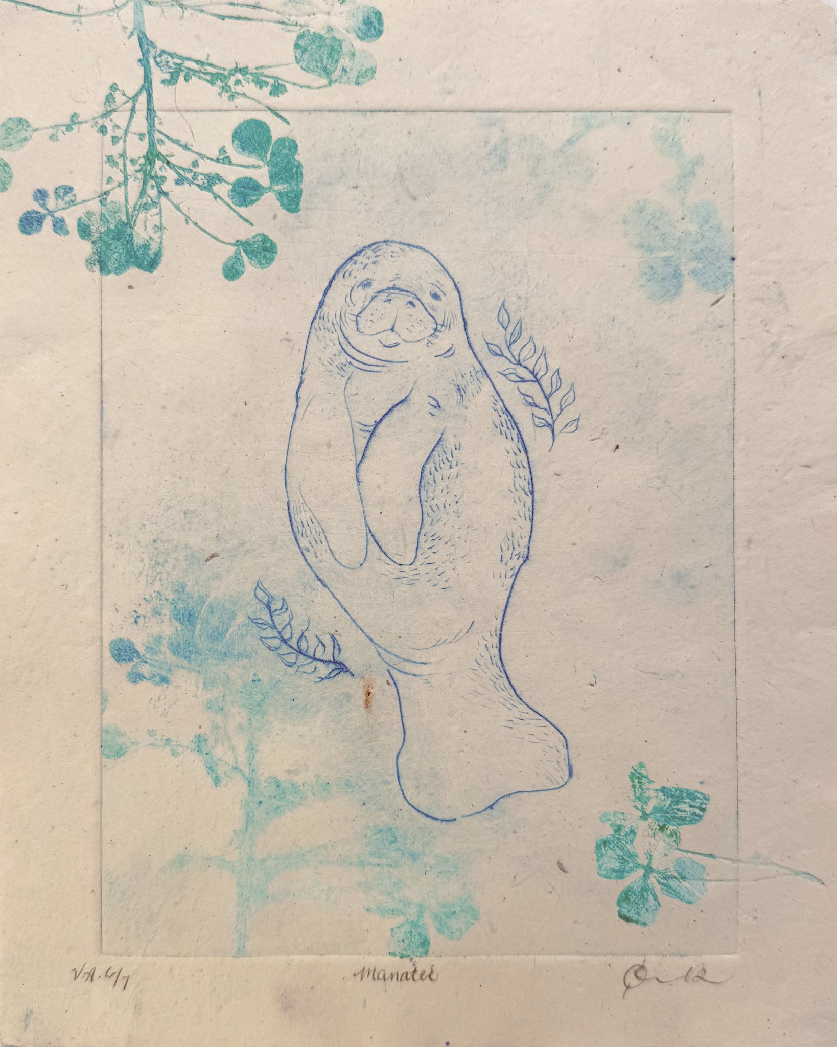 "Manatee" drypoint / monoprint 8x10" 2025 v.1