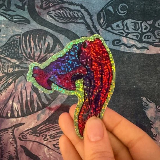 glittercuttlepic.jpeg