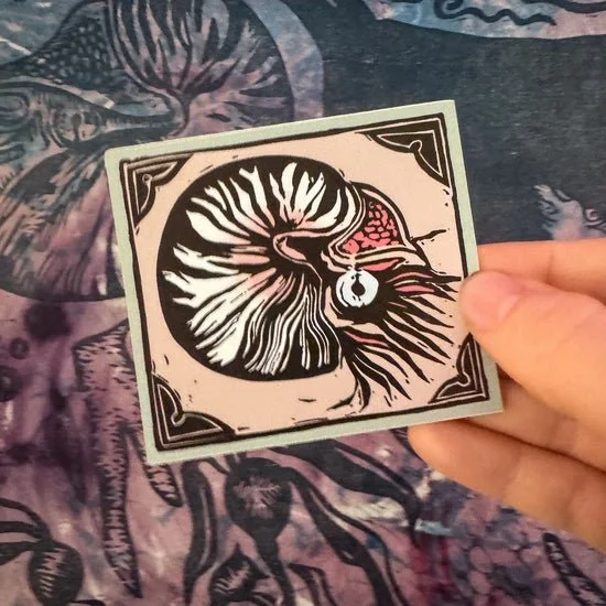 nautiluspic.jpeg