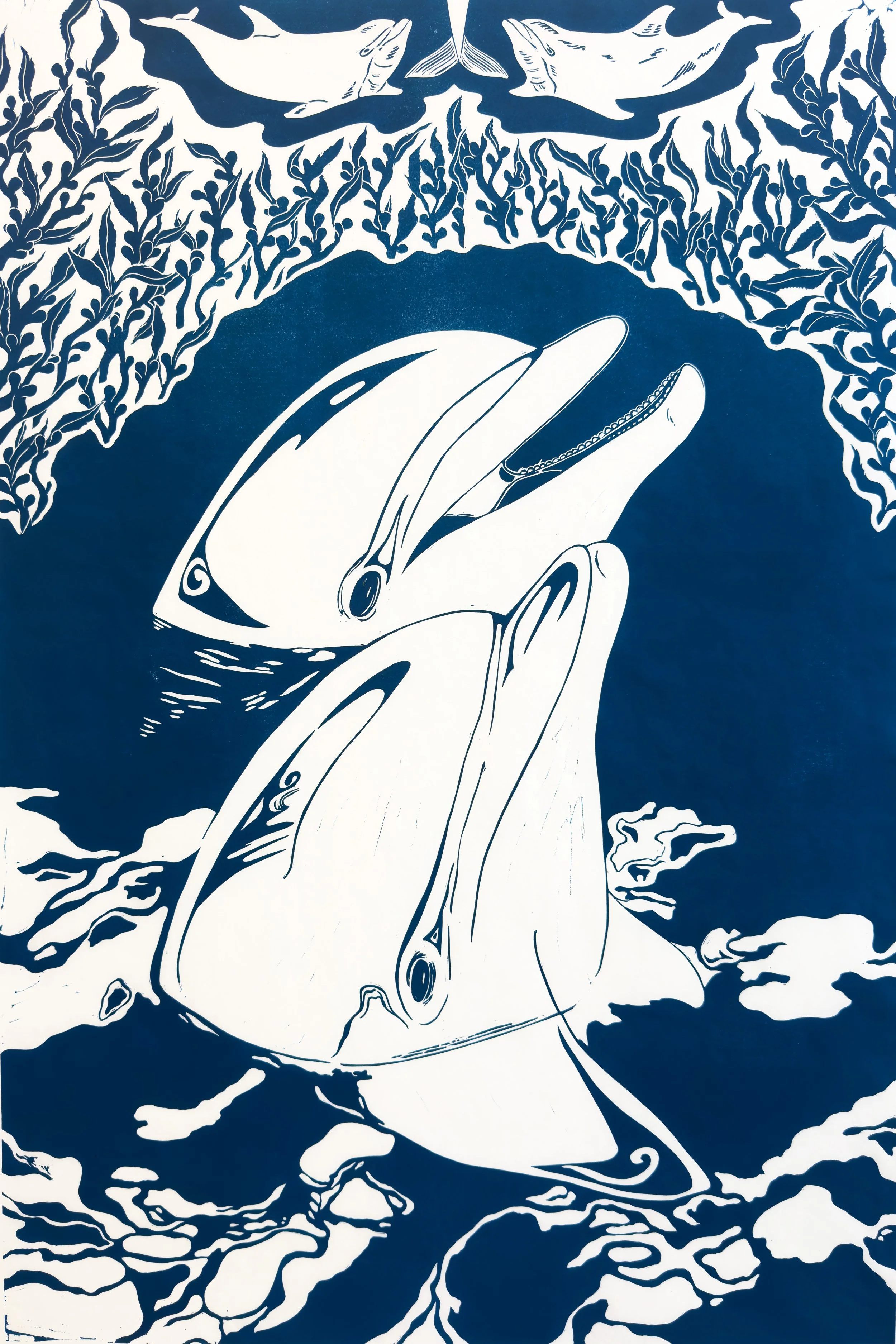 “Common Bottlenose Dolphin ” 24x36” linocut on Mulberry paper, 2026