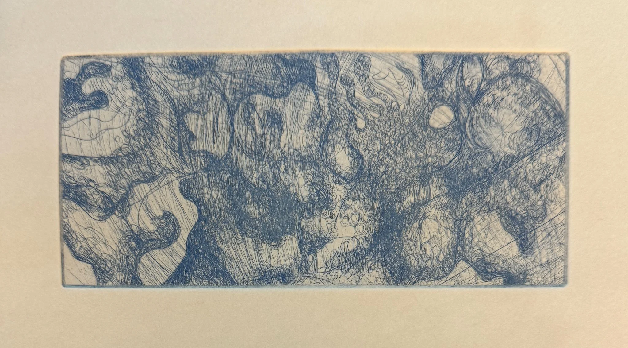 "Anemone" 3x6" drypoint/line etching on Stonehenge (fawn), 2024