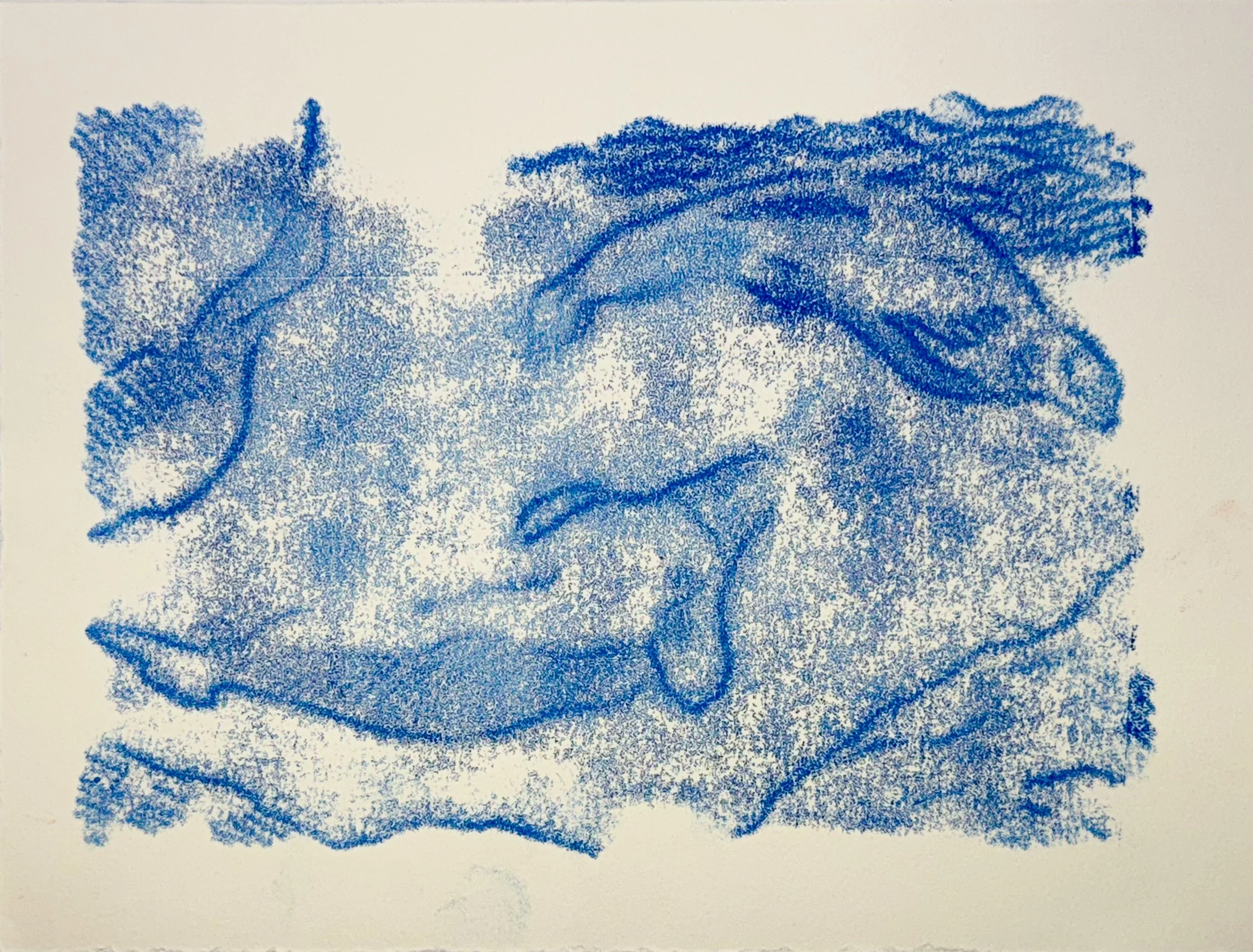 Beluga Trace Monotype Study 6x9", 2026