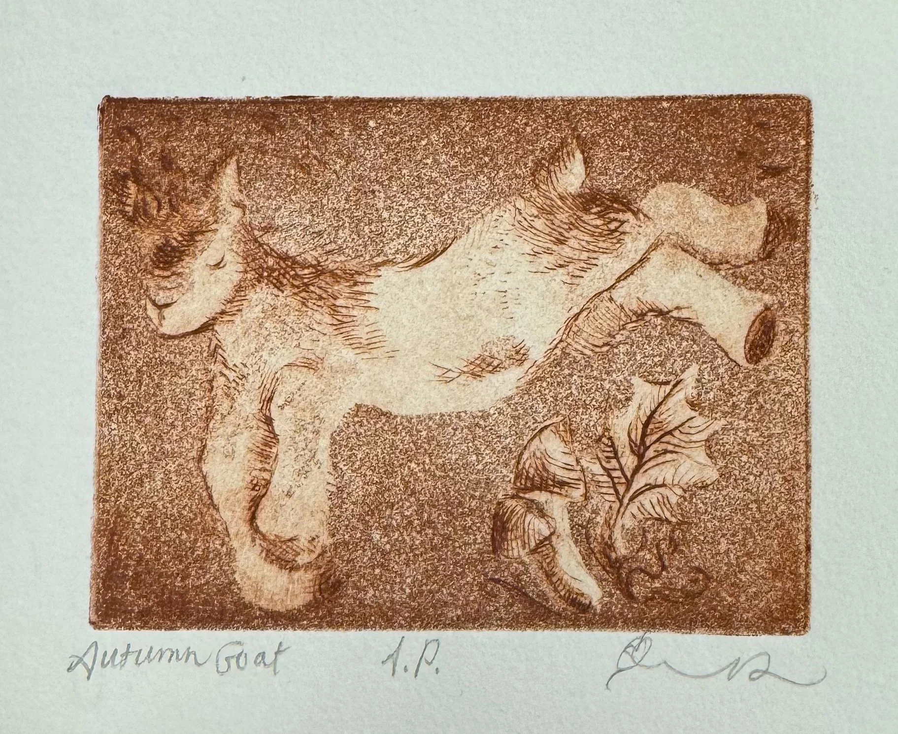 "Autumn Goat" 2x3" aquatint etching on BFK (gray), 2024