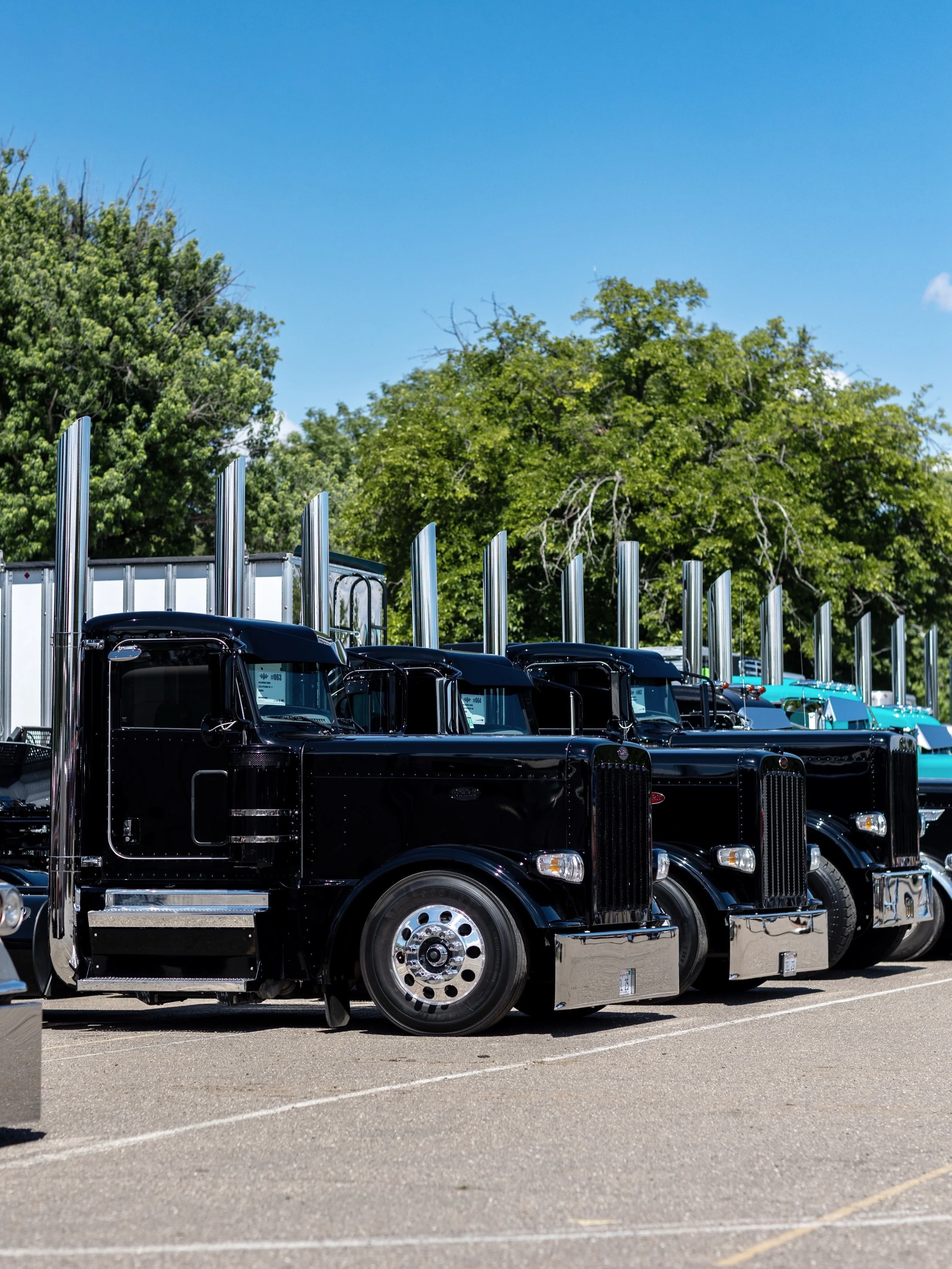 A row of black semi-trucks with chrome exhaust stacks parked in a lot under a clear blue sky, with green trees in the background. Trucking Services in Northern California