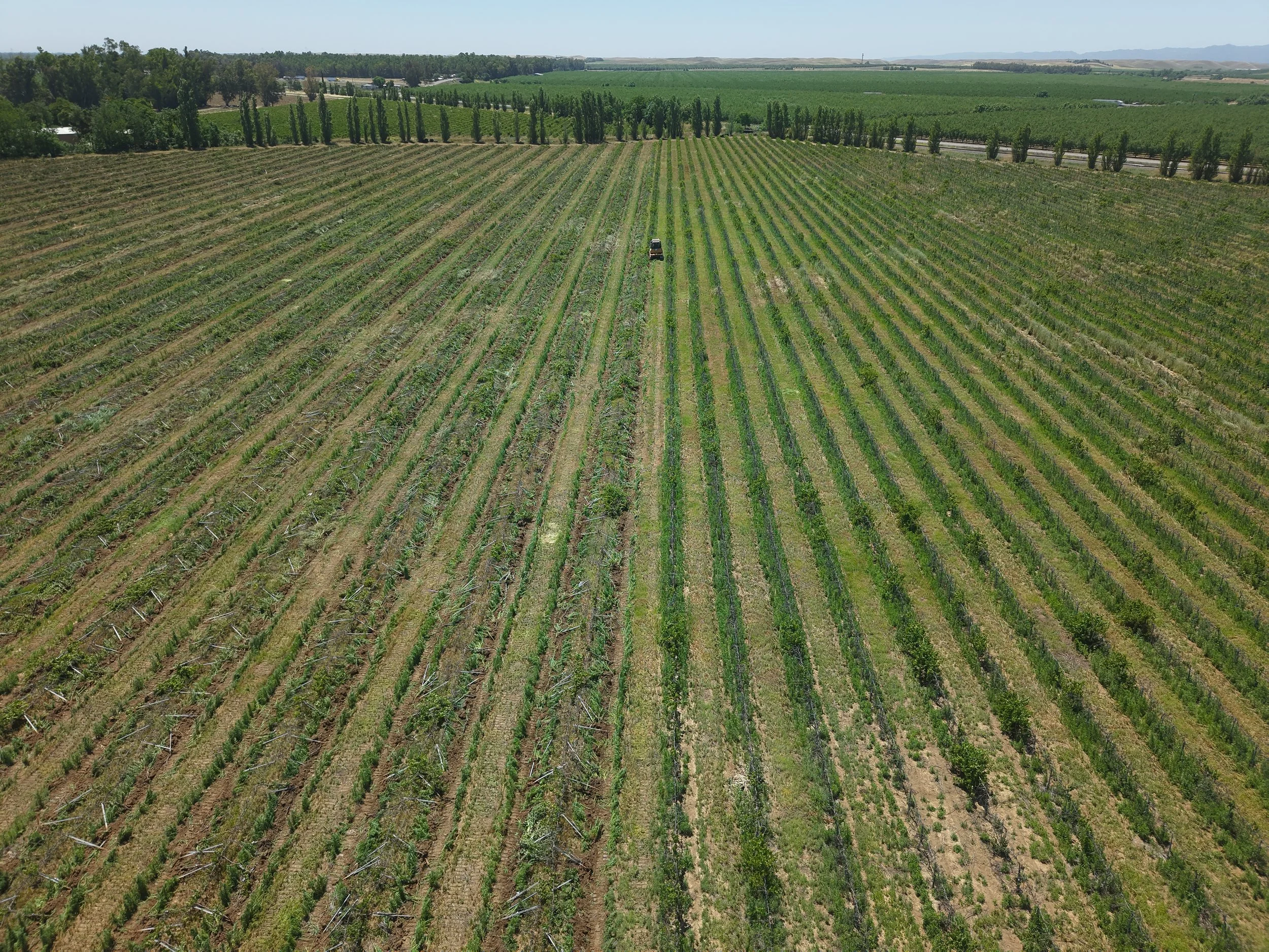 Local Farming Experts