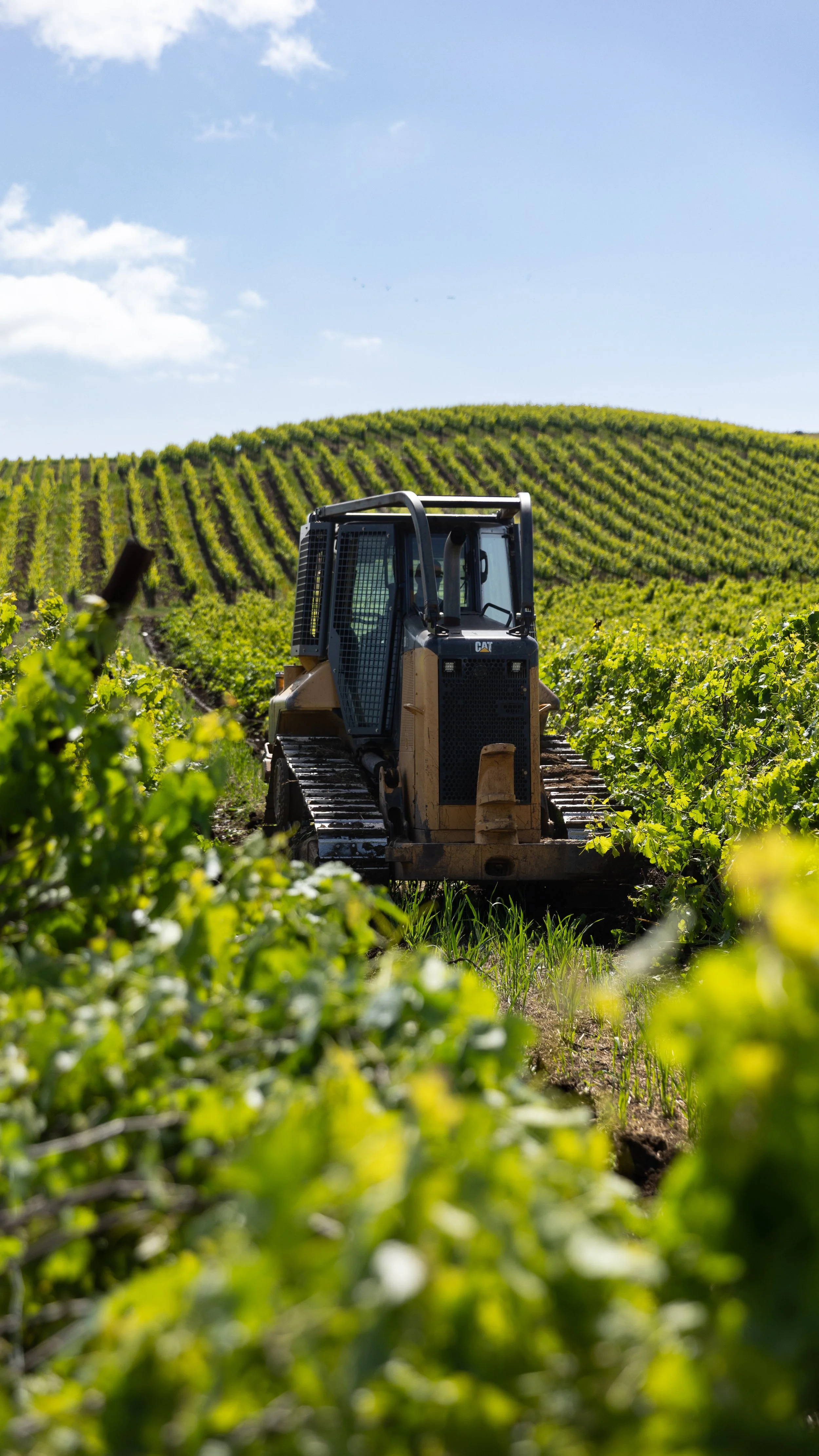 CAT D5 Dozer is our custom vine pulling machine to efficiently remove vines with ease. Vineyard Removal in Napa Valley