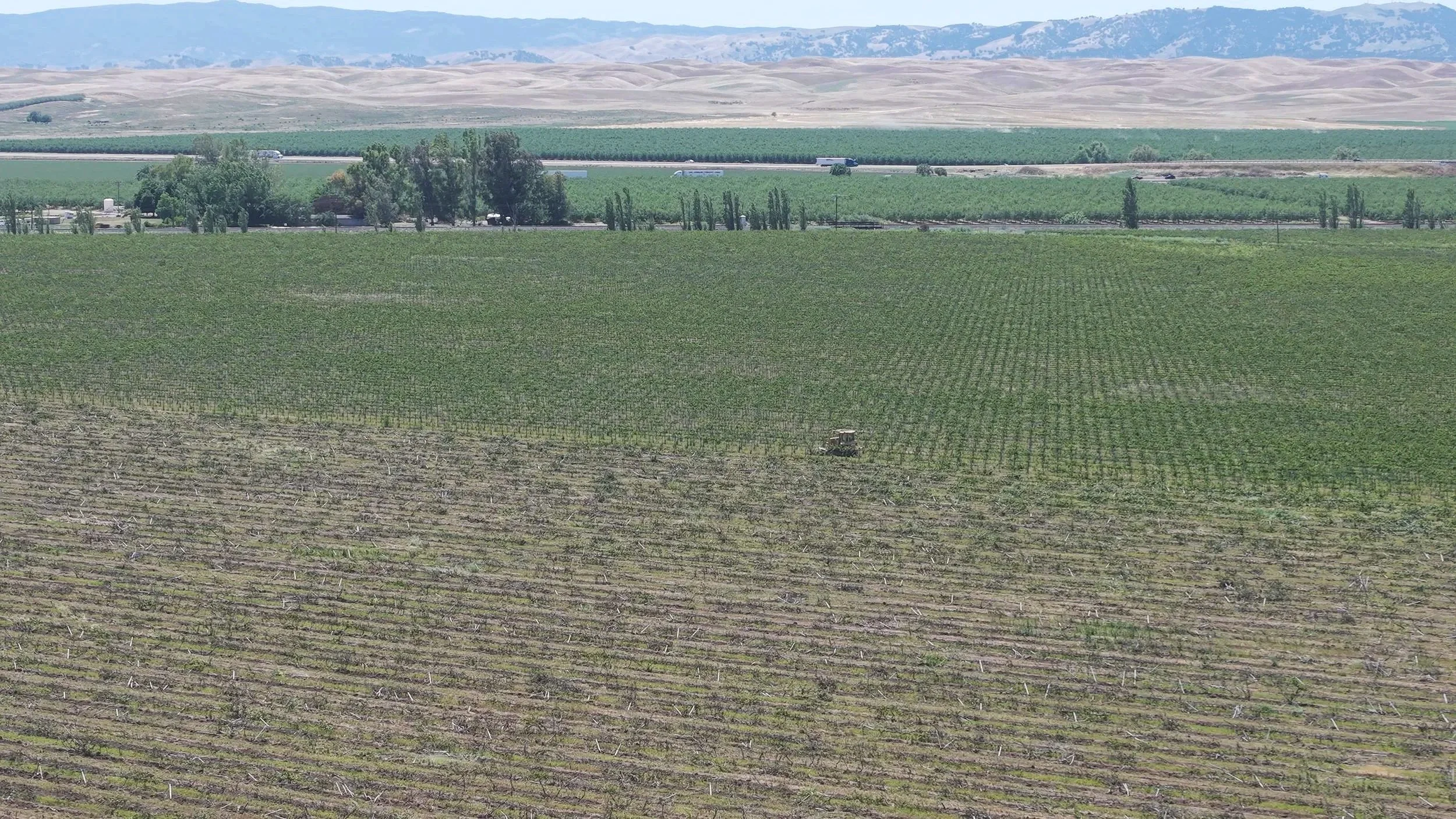 A vast agricultural landscape with rows of grapevines, trees, and hills in the background under a cloudy sky.