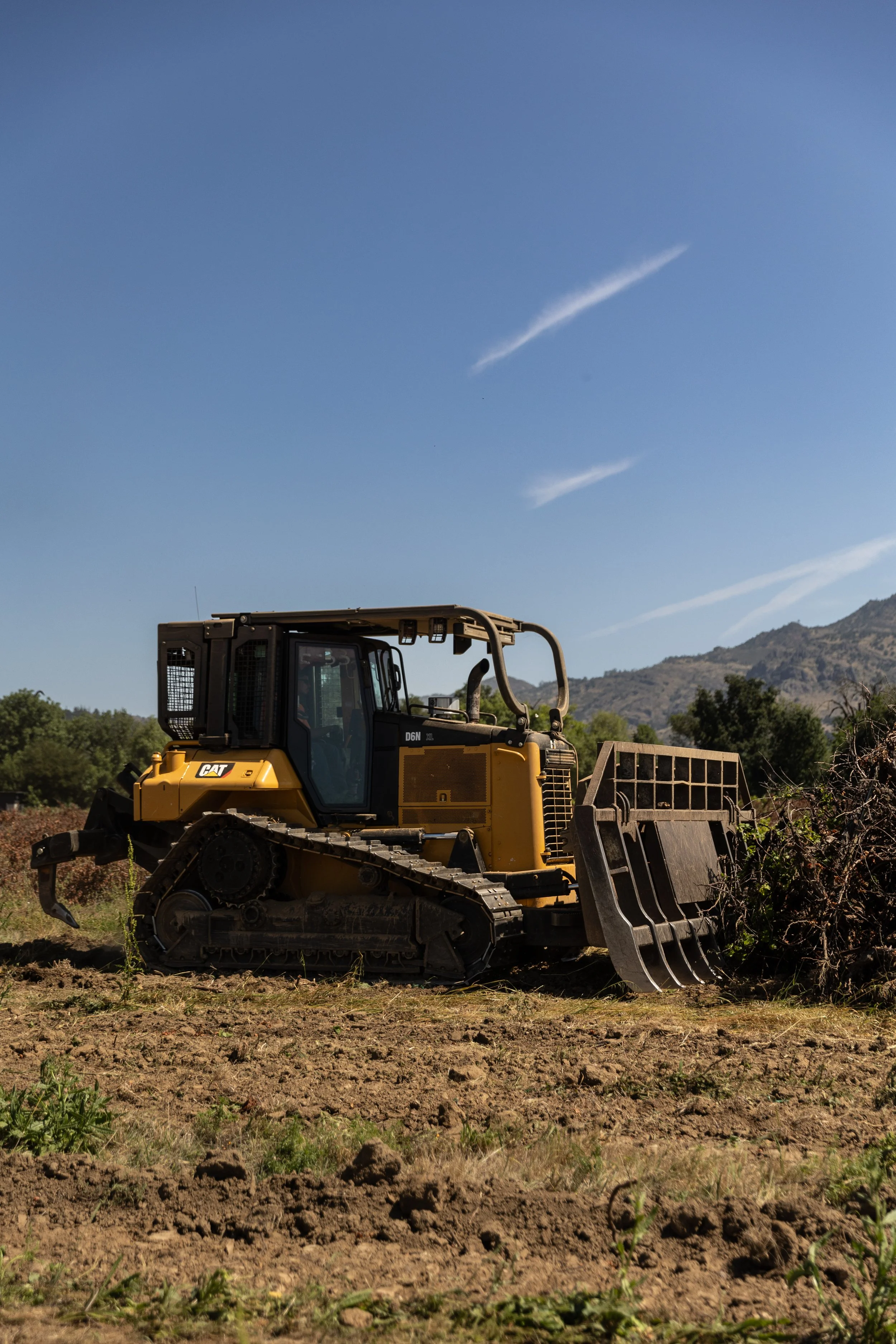 Caterpillar D5 dozer raking removed vines into piles for off haul or burn piles. Vineyard Removal Solano County